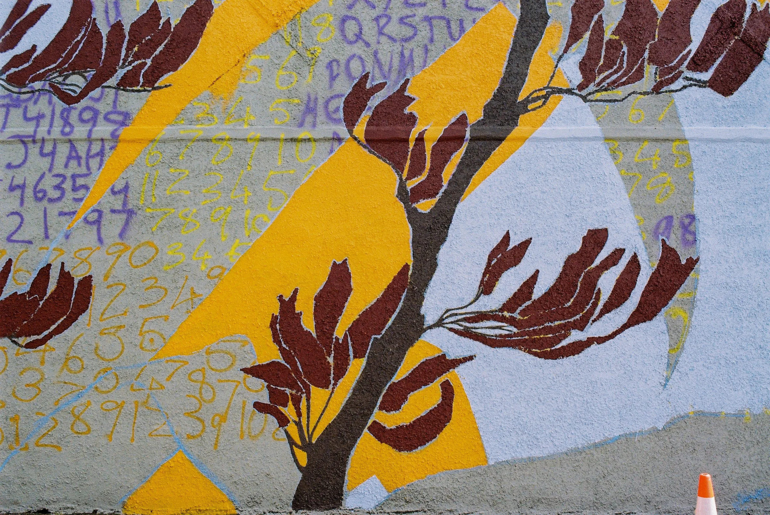 Photos by Kieran J Dodd