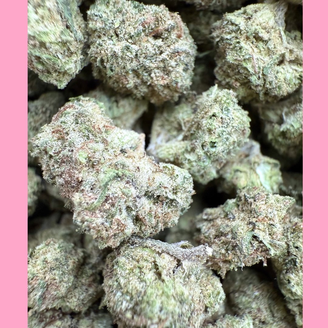 Blueberry Bars 2.jpg