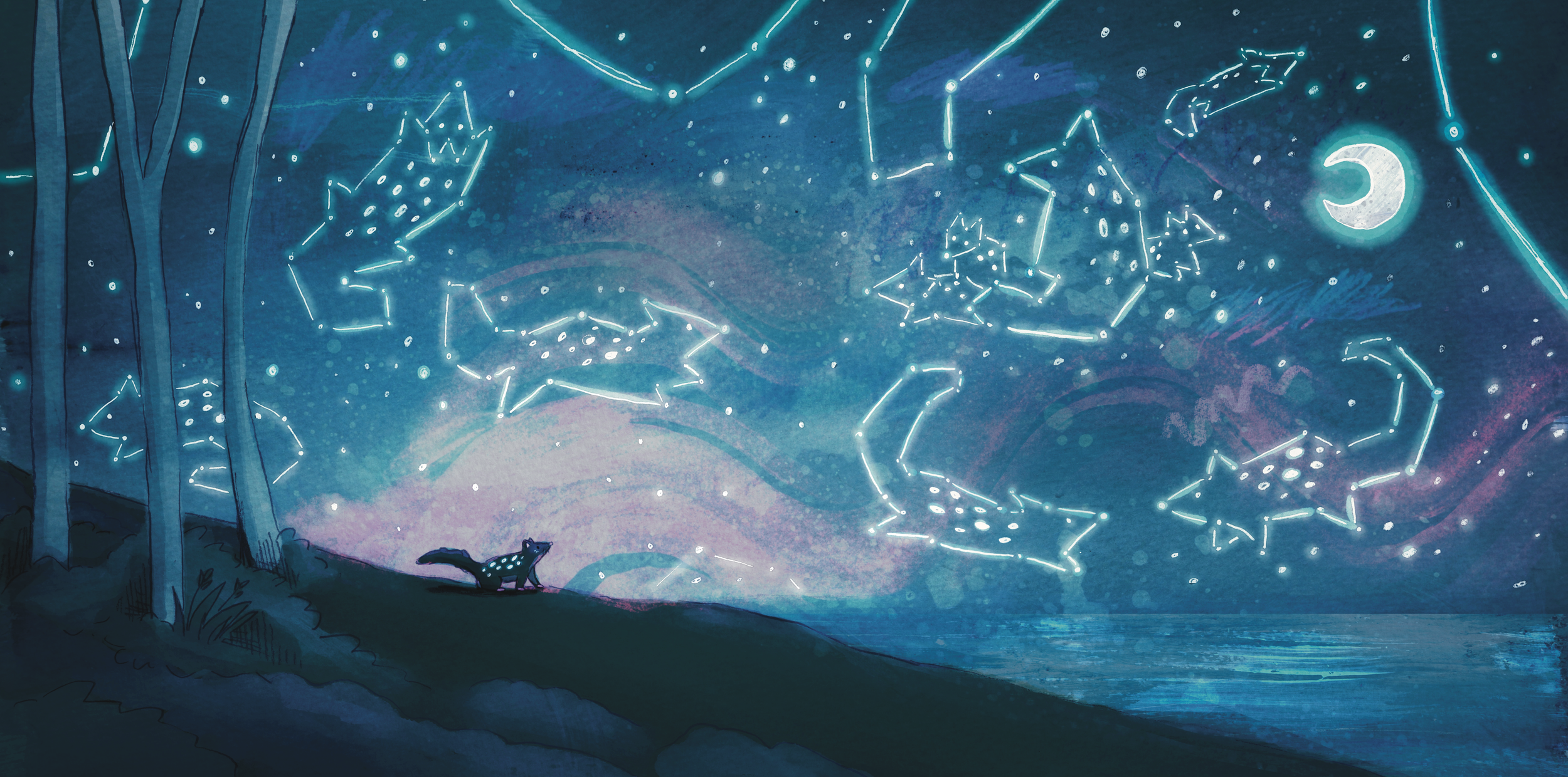 Quoll and the stars 1