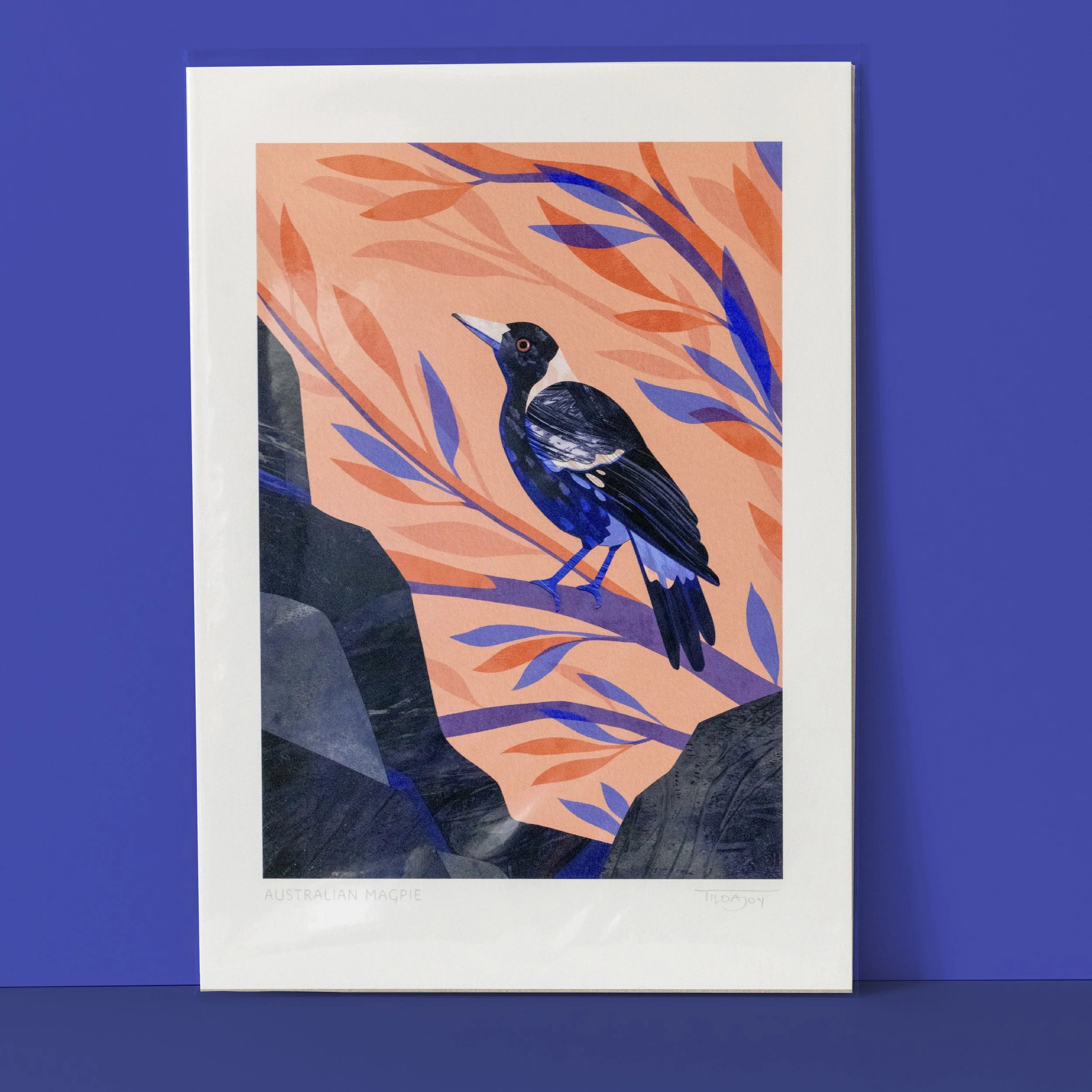 A4 Print - Australian Magpie