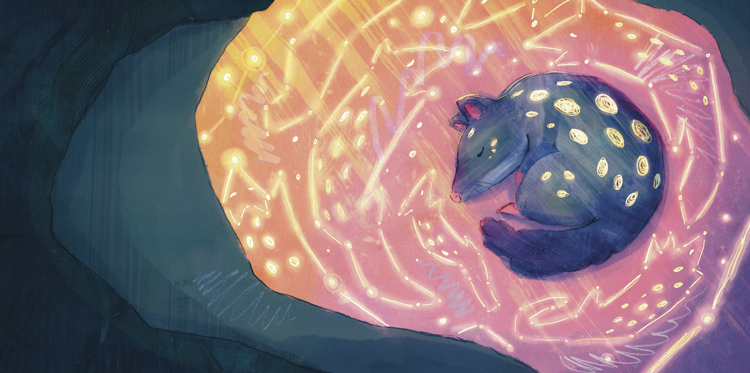 Quoll and the stars 2