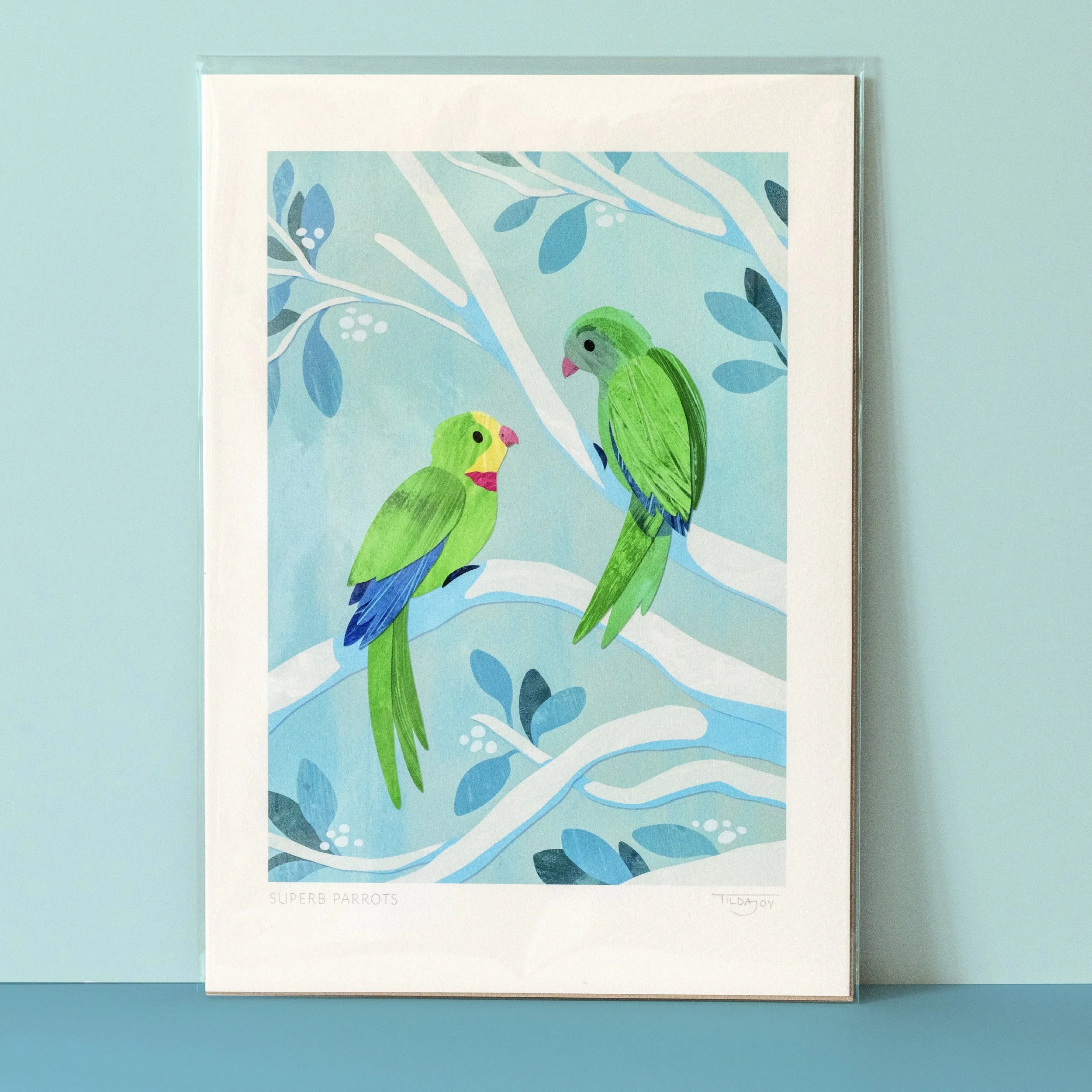A4 Print - Superb Parrots