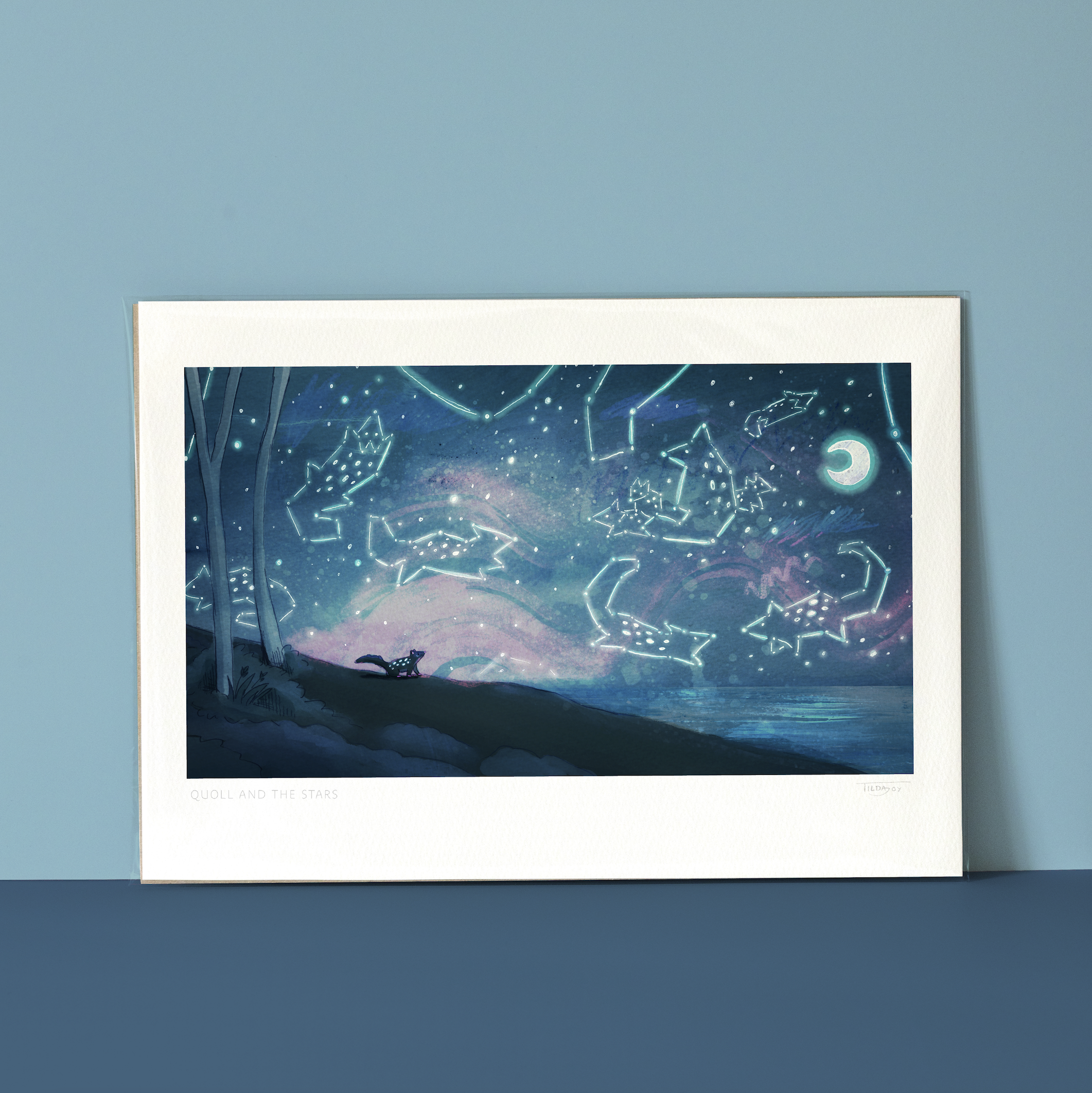 Quoll and the Stars.png