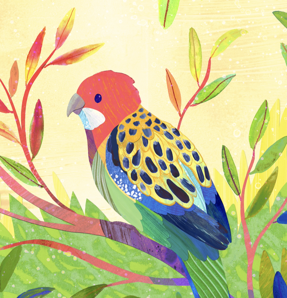 Rosella.png