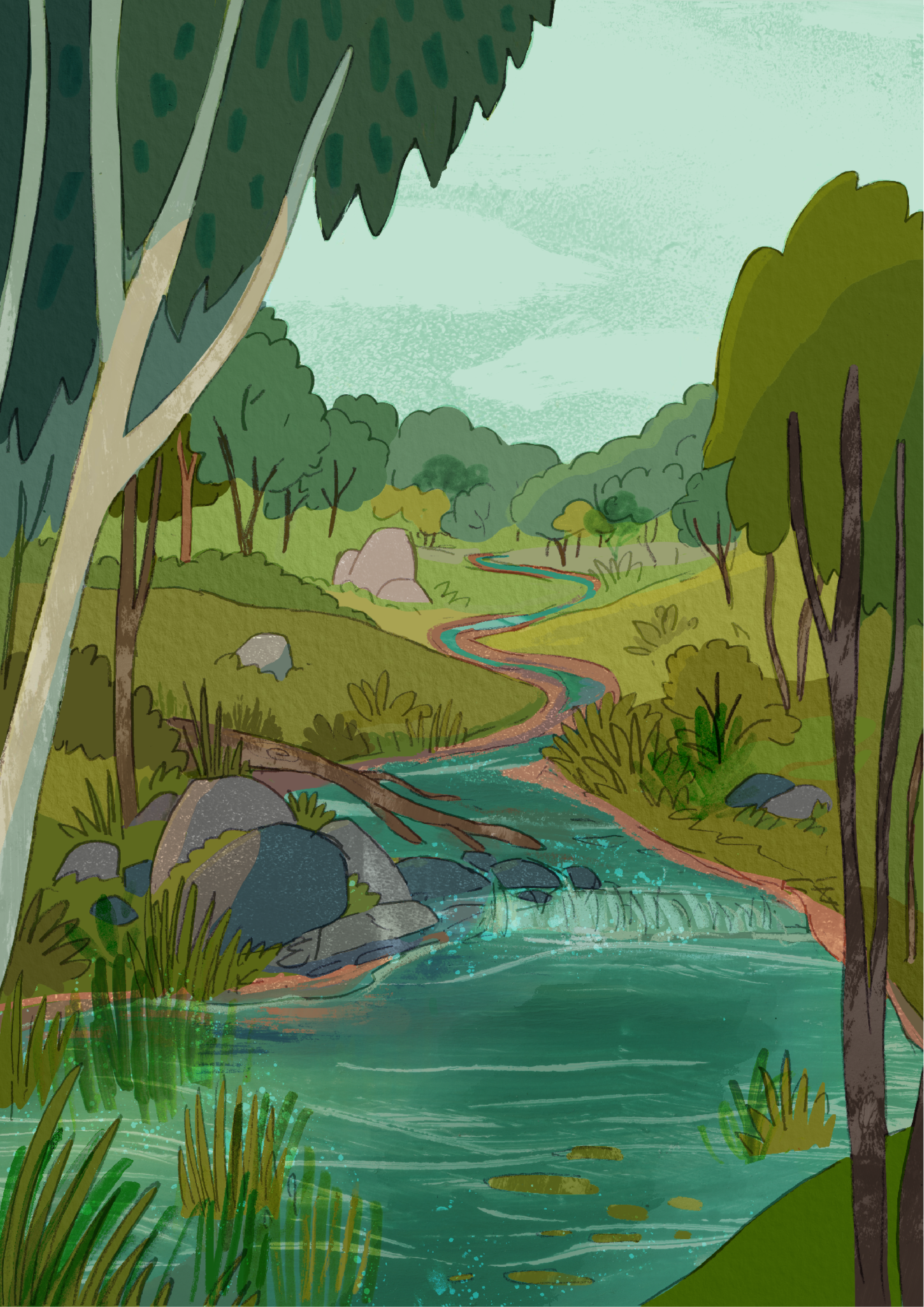 Mulloon Landscape Illustrations