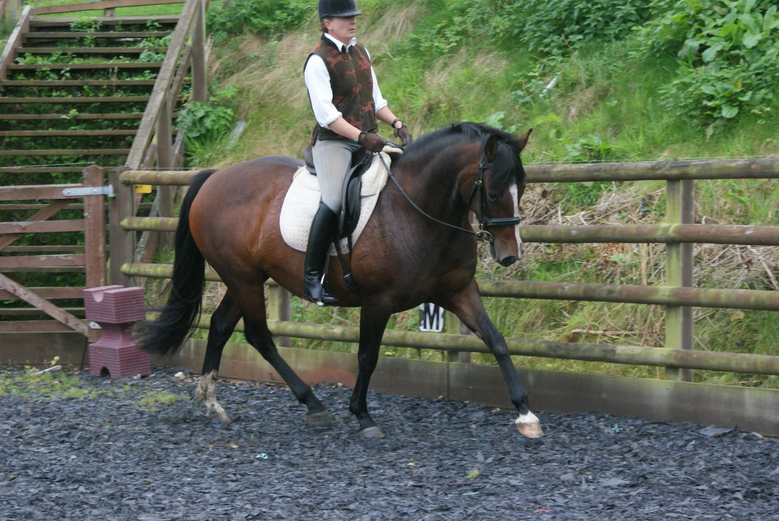 Saddle Exchange Blog — Saddle Exchange Saddles Fit For Purpose