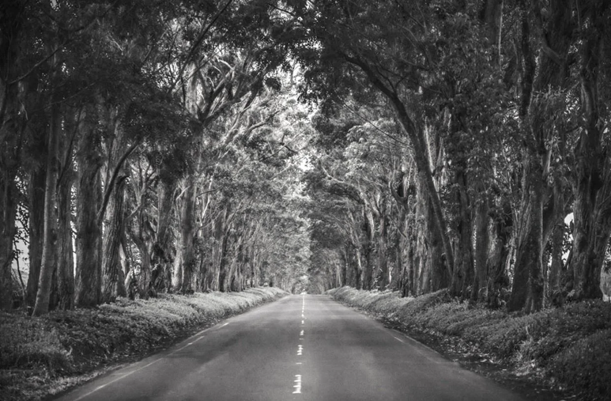 Making A Way Out … Even When You Don’t See One!