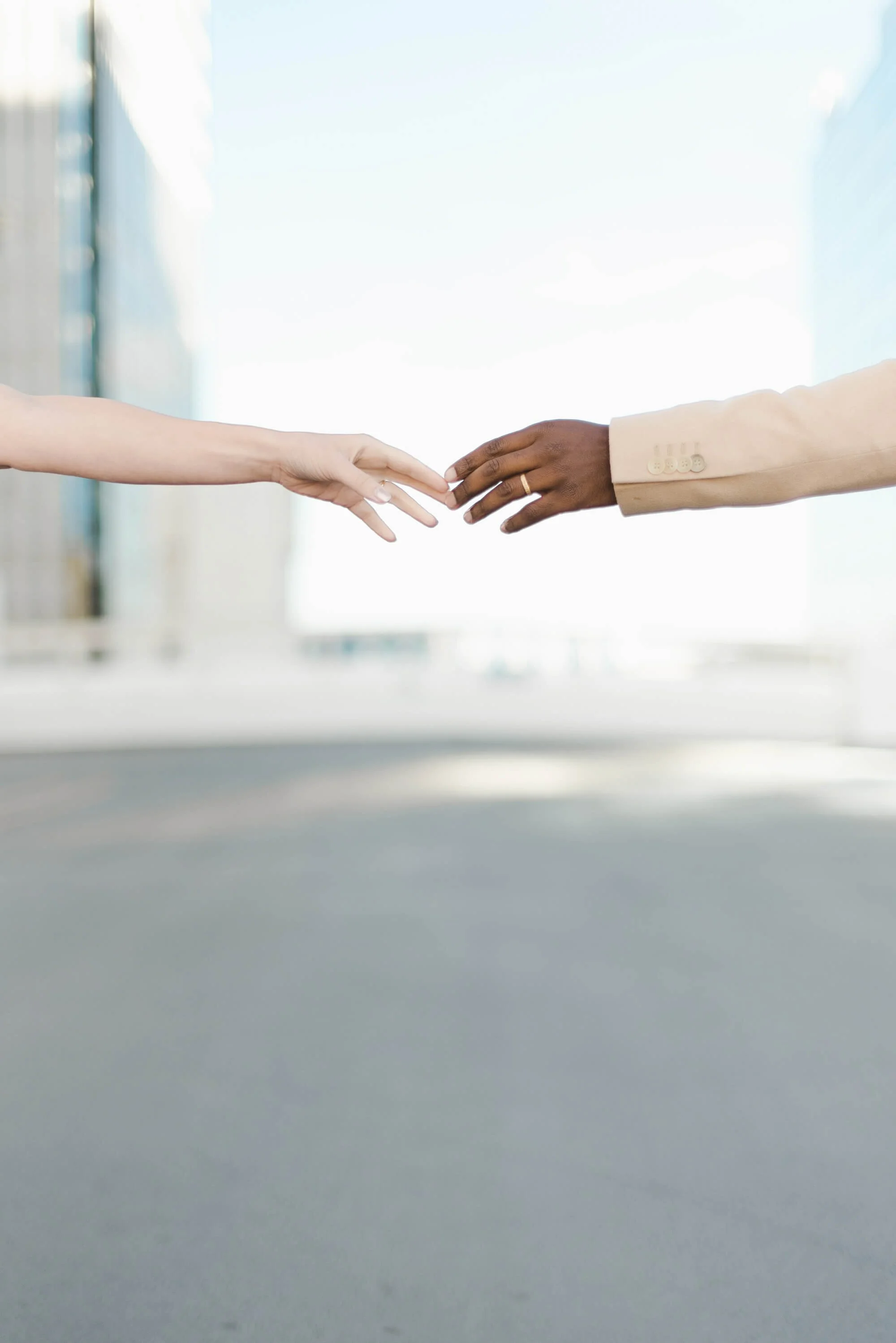 Section 5 image 3.jpg