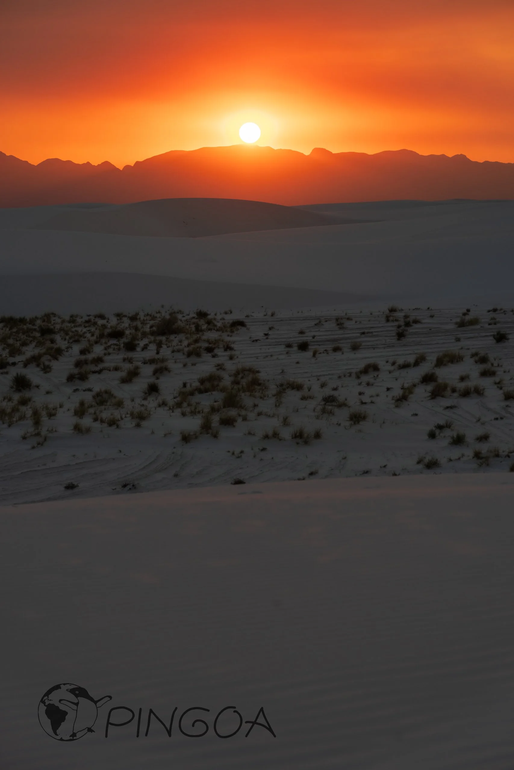 pingoa_WhiteSands-06153.jpg