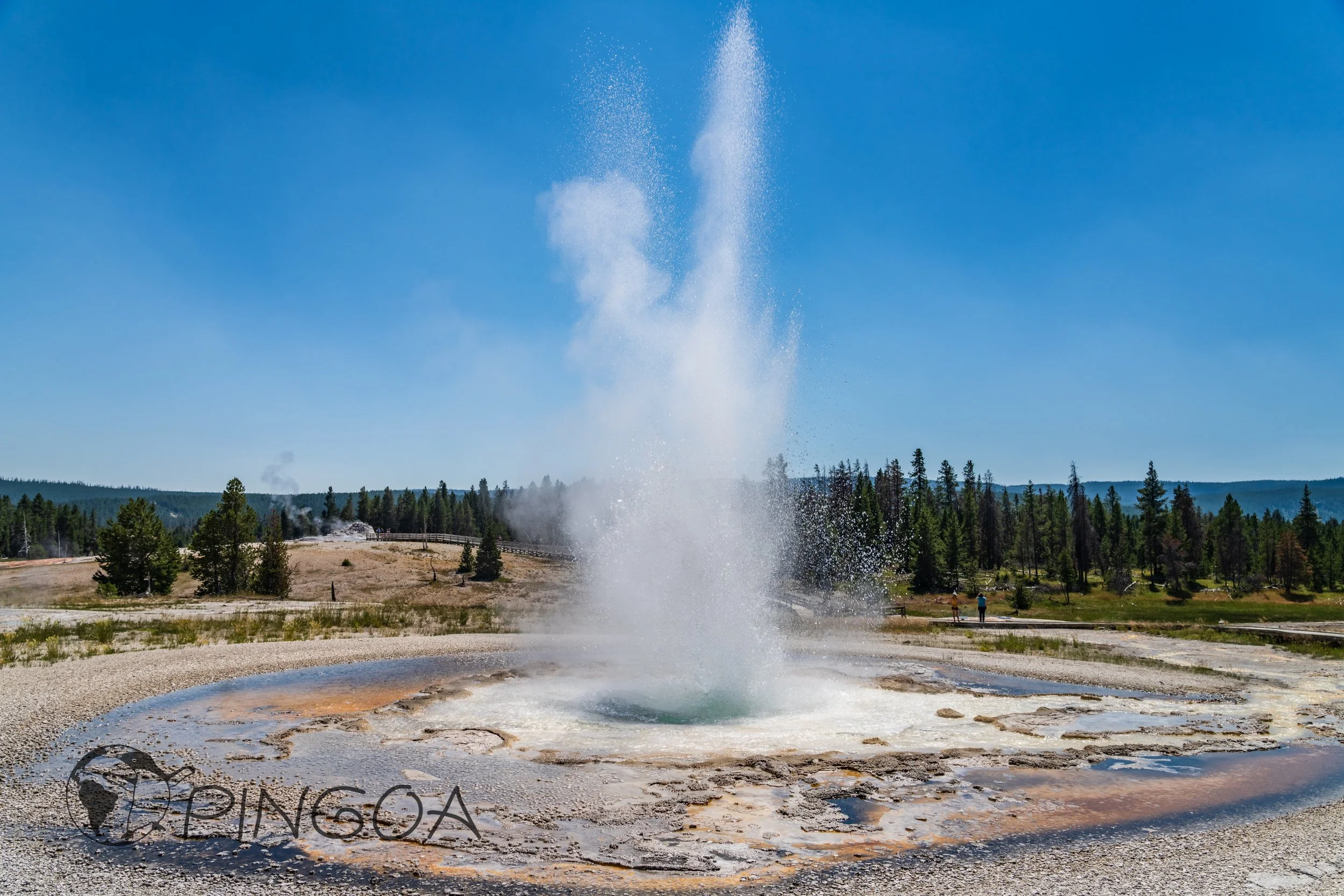 pingoa_Yellowstone-08420.jpg