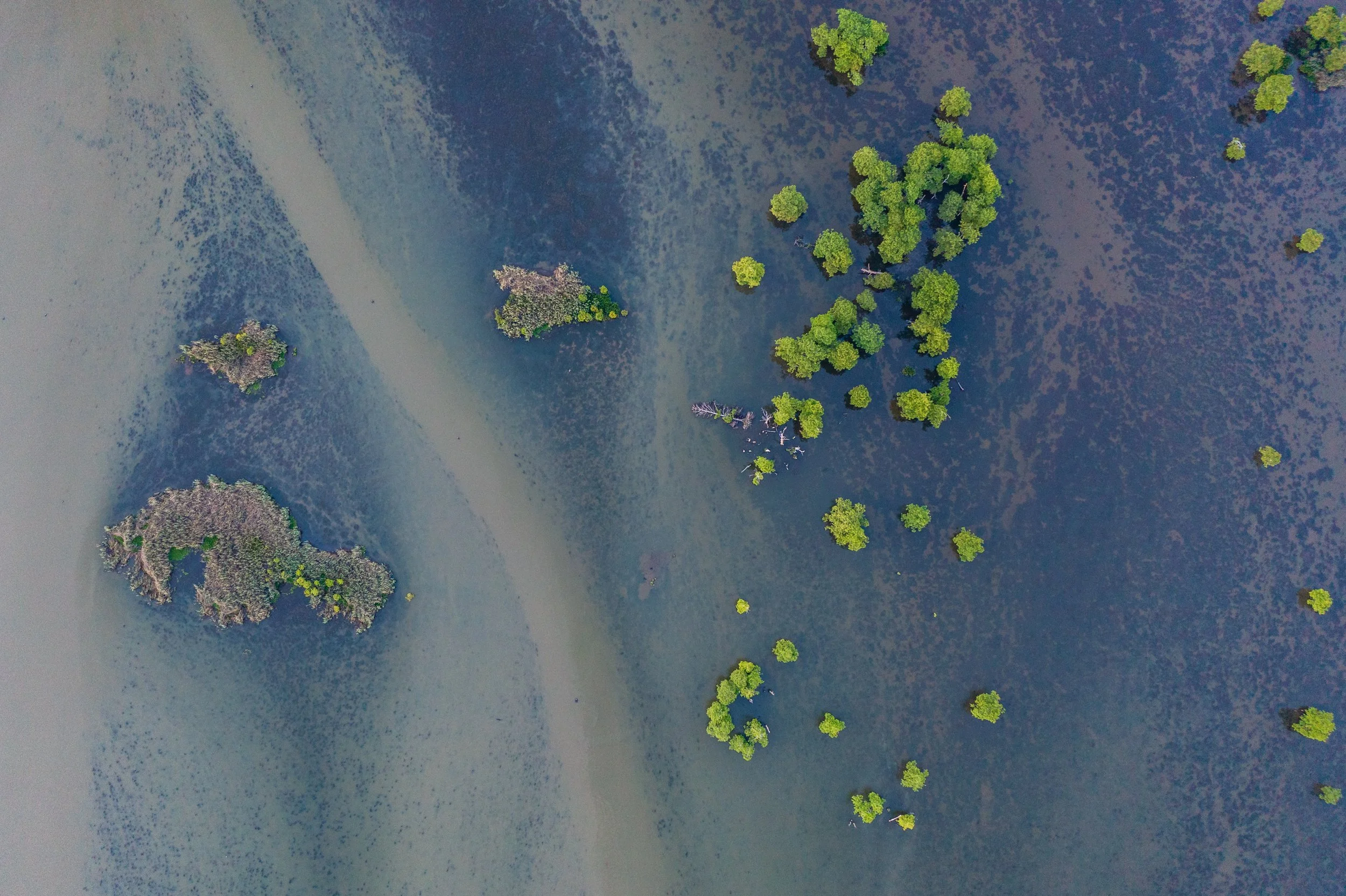 mississippi delta