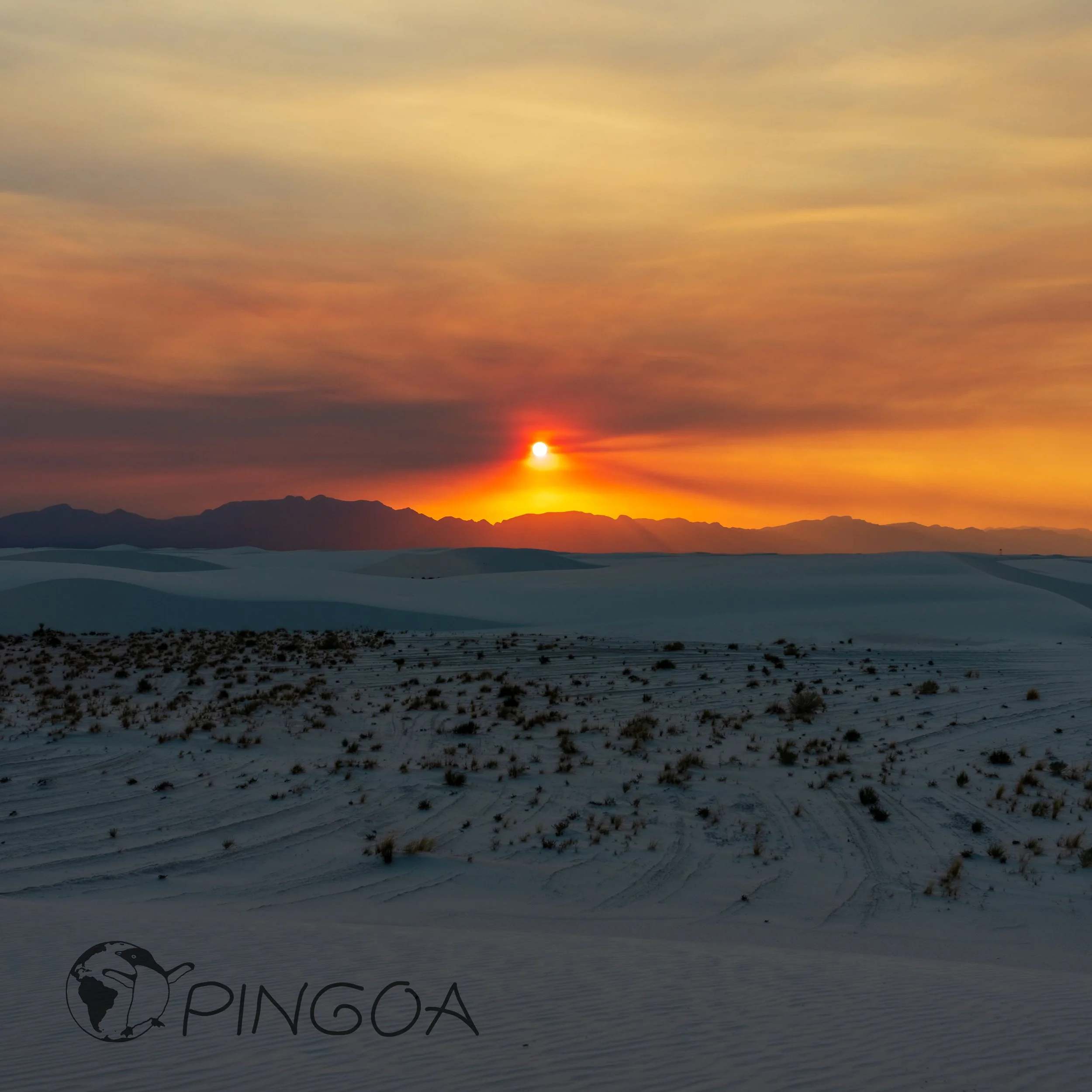 pingoa_WhiteSands-06076.jpg