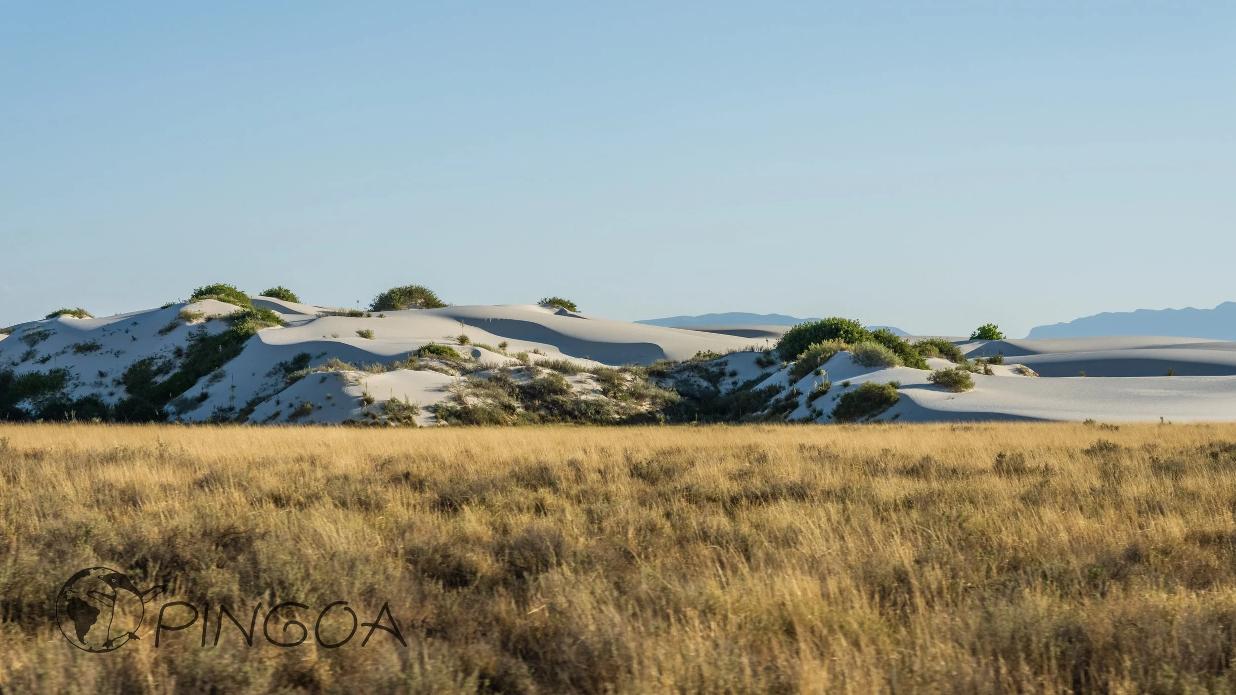 pingoa_WhiteSands-05407.jpg