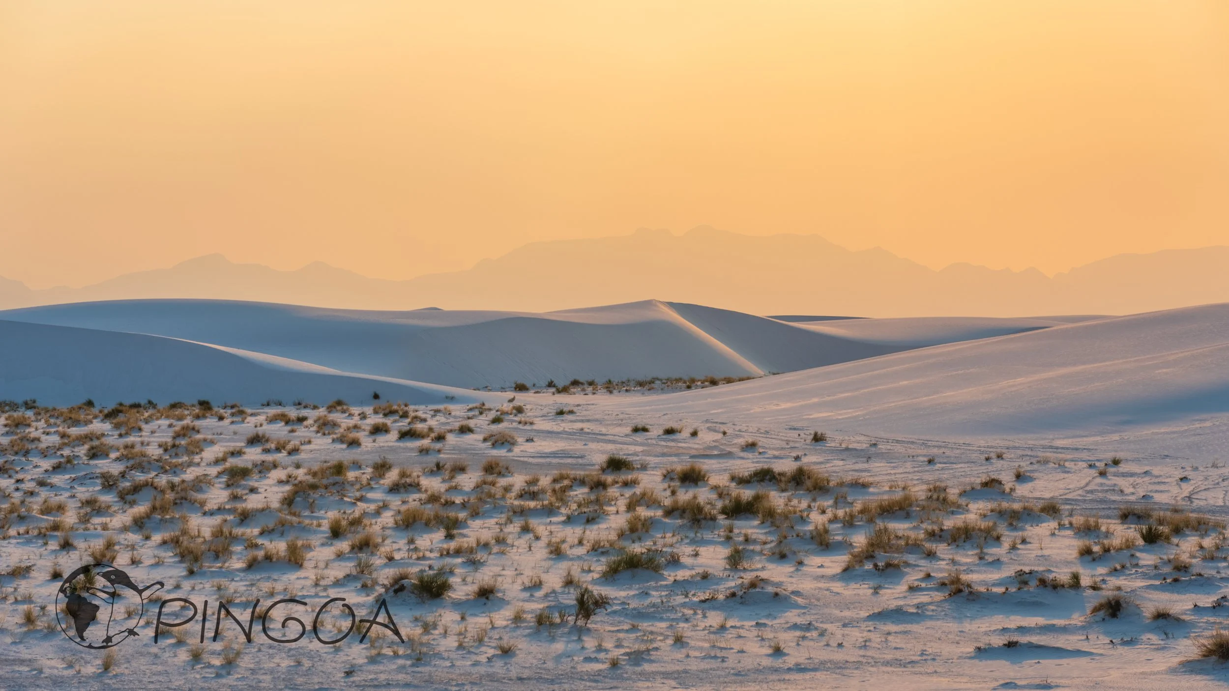 pingoa_WhiteSands-05437.jpg