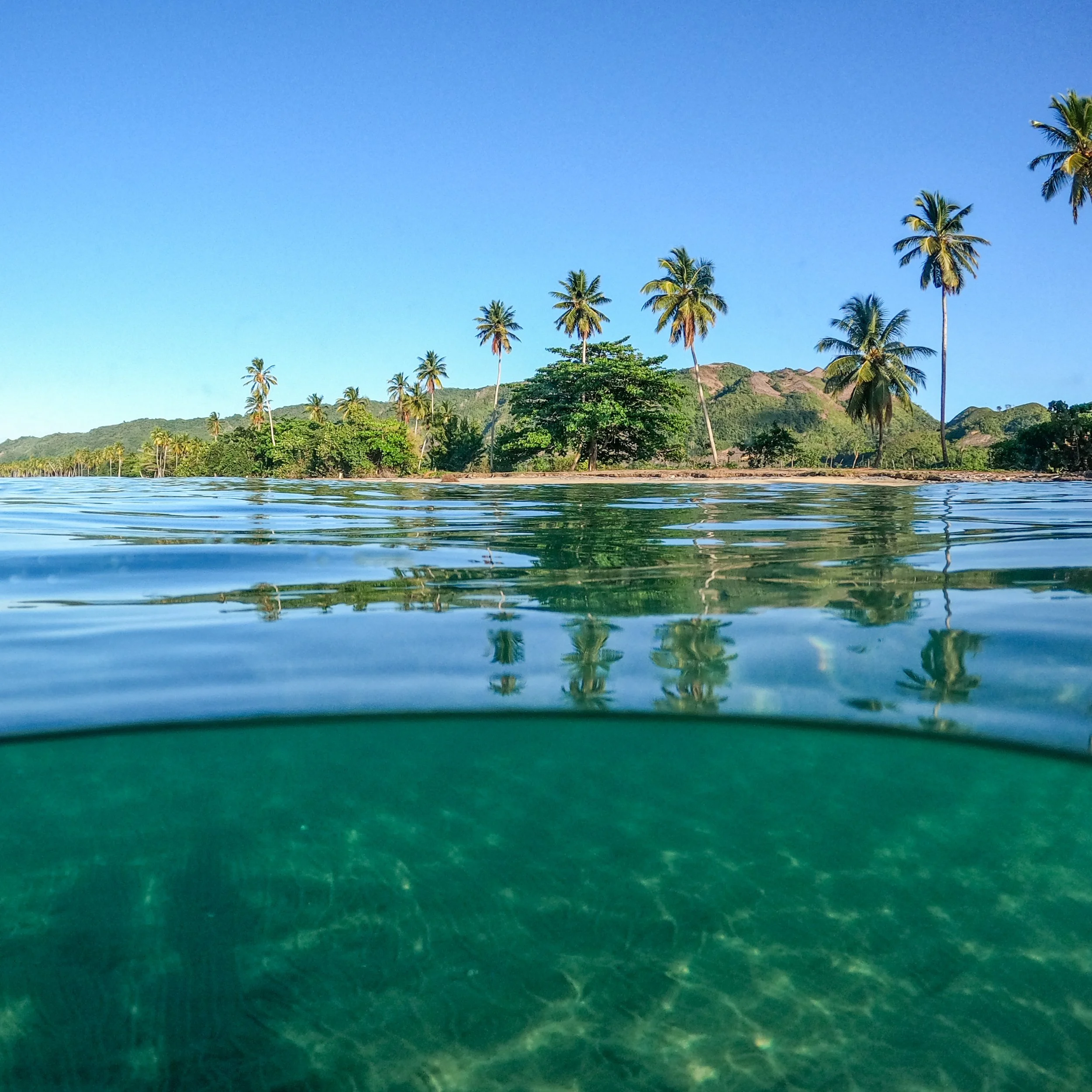 Tropical landscape with calm water in the foreground, a shoreline with green trees, and tall palm trees against a mountain and clear blue sky in the background.