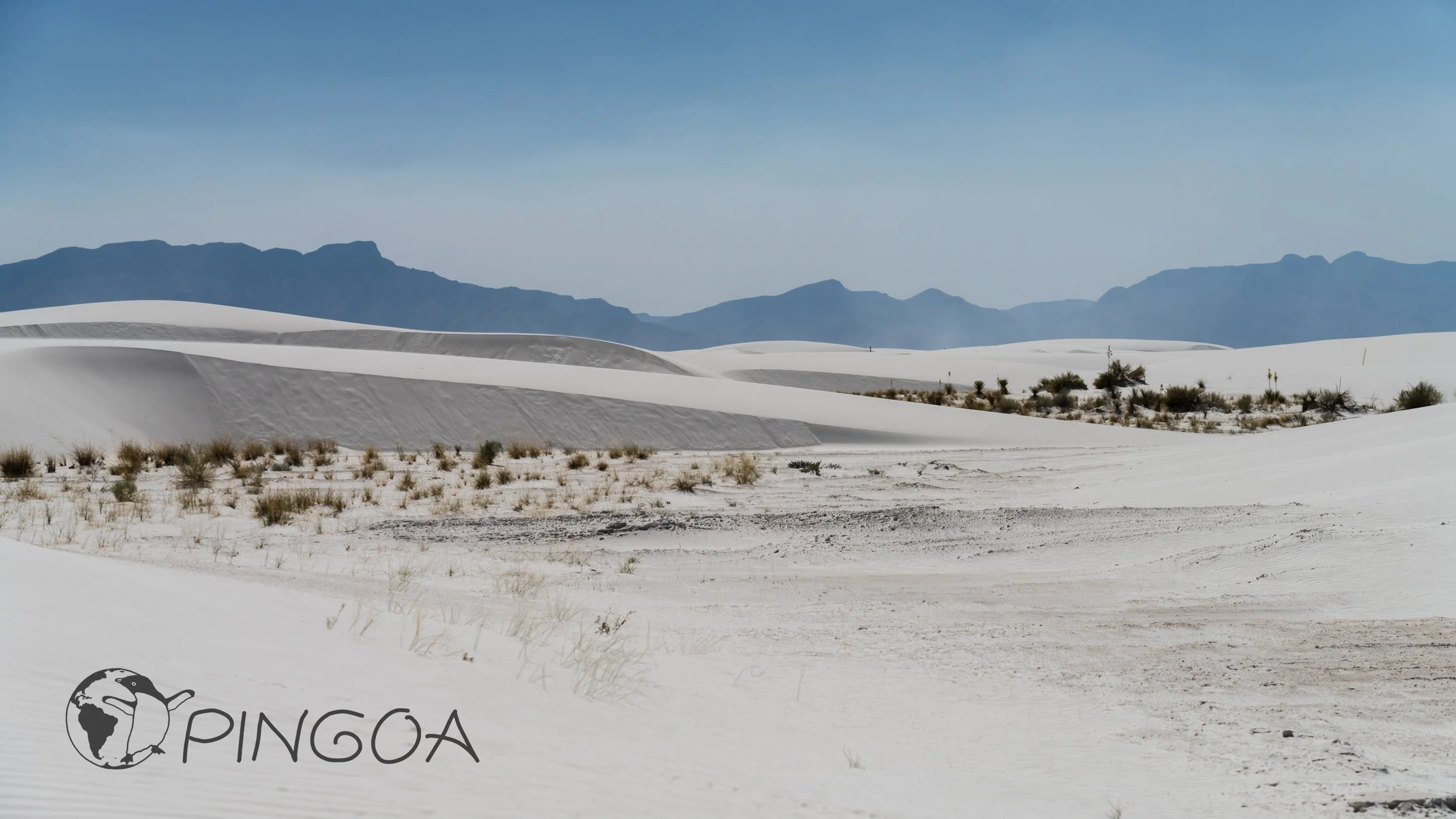 pingoa_WhiteSands-03239.jpg