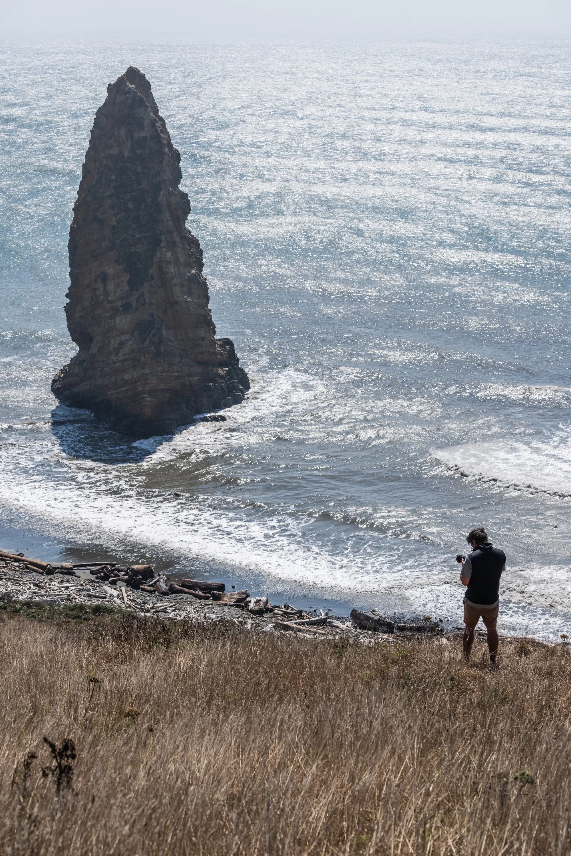 beach, pacific coast, Oregon, USA
