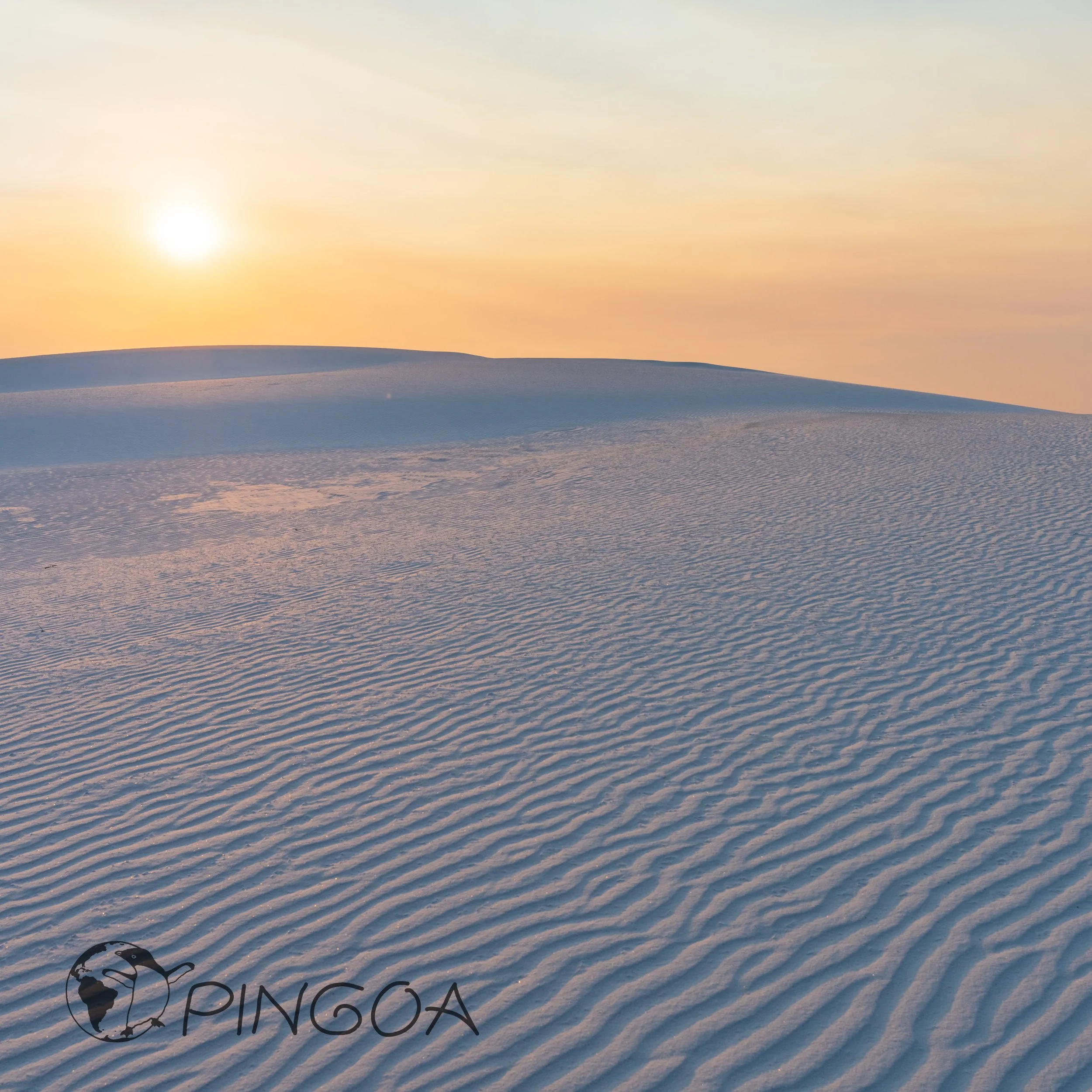 pingoa_WhiteSands-03397.jpg