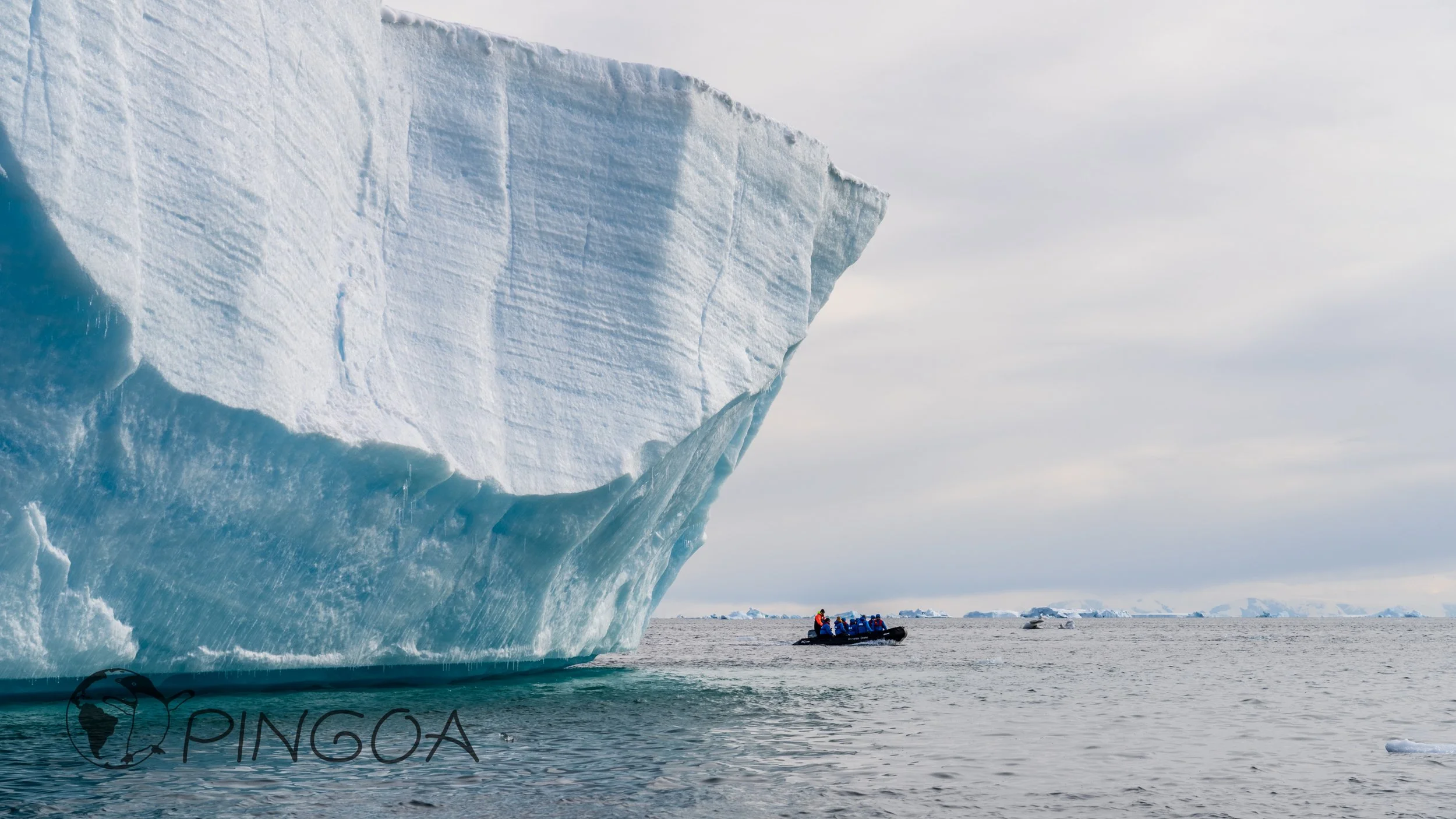 iceberg 20220214-164305-DSC05267.jpg