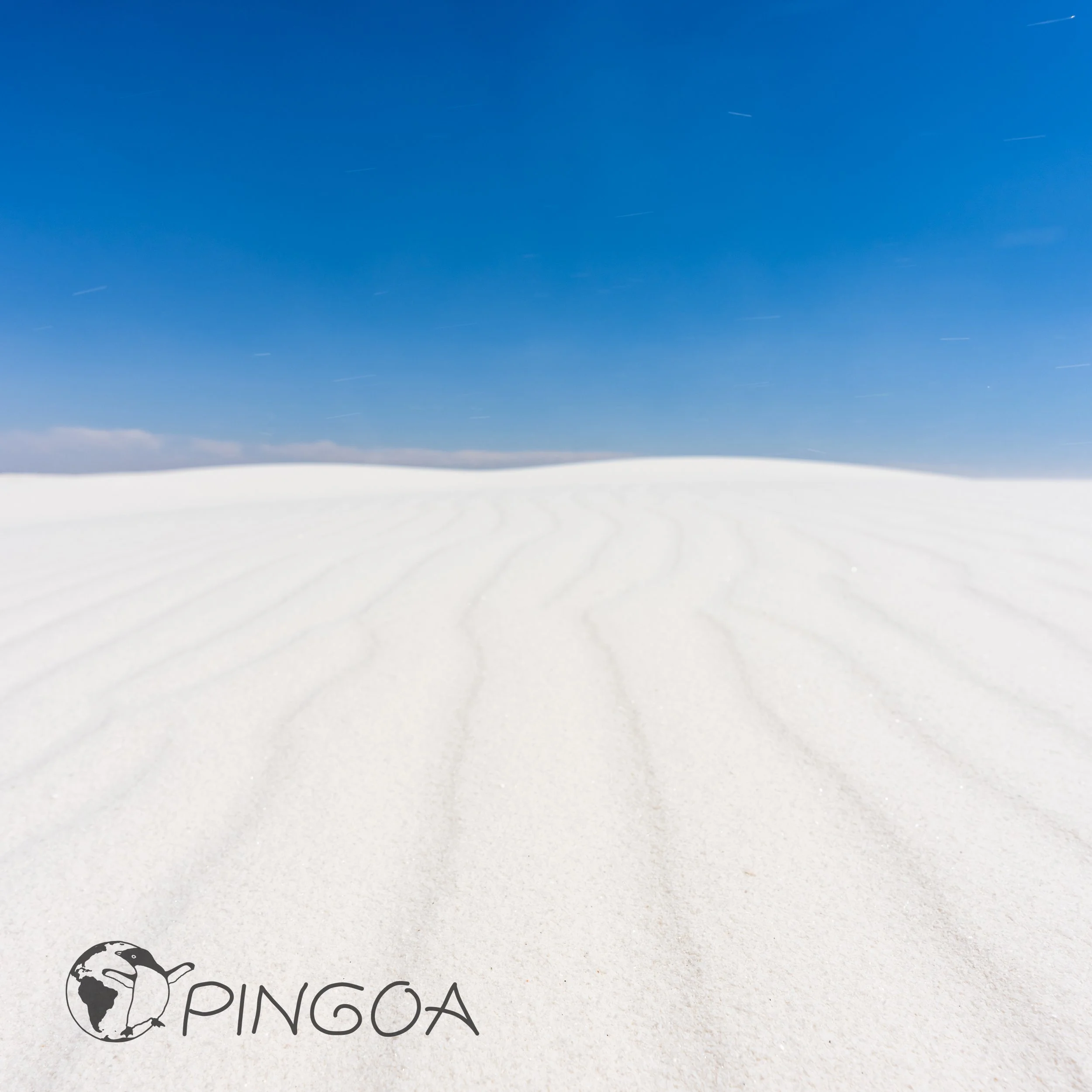 pingoa_WhiteSands-05170.jpg