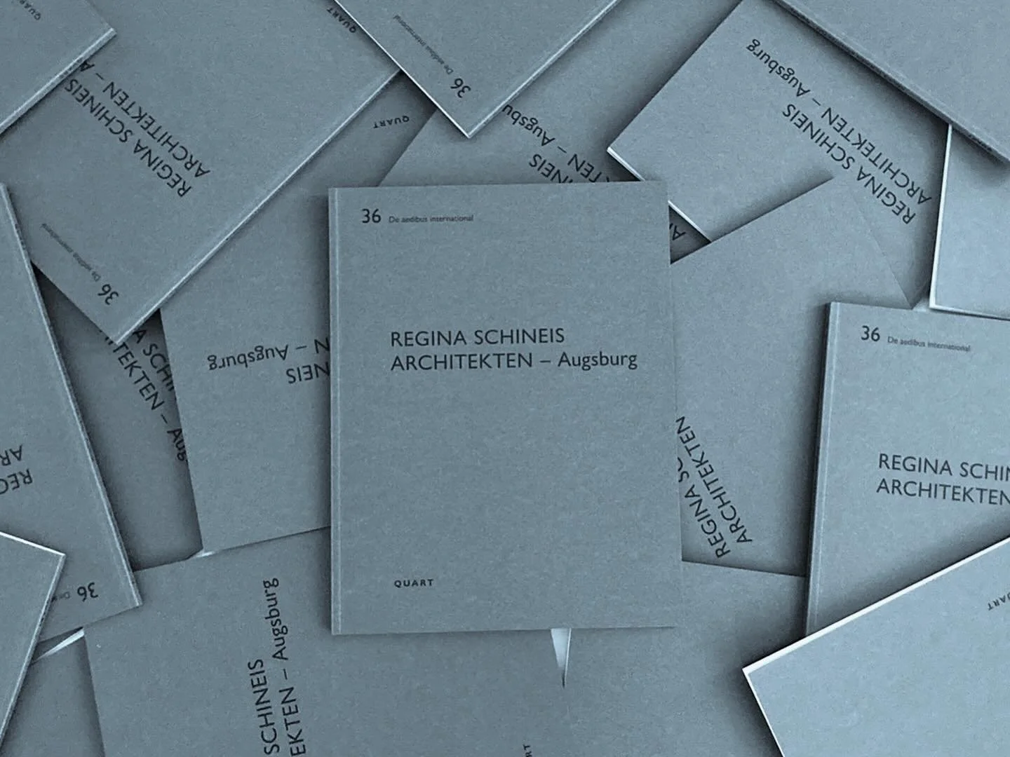 wir freuen uns &uuml;ber die ver&ouml;ffentlichung der ersten monografie von regina schineis im @quart.ch verlag in der reihe &sbquo;de aedibus international&lsquo;. 
das buch beginnt mit einem gespr&auml;ch mit michaela busenkell &sbquo;die essenz d