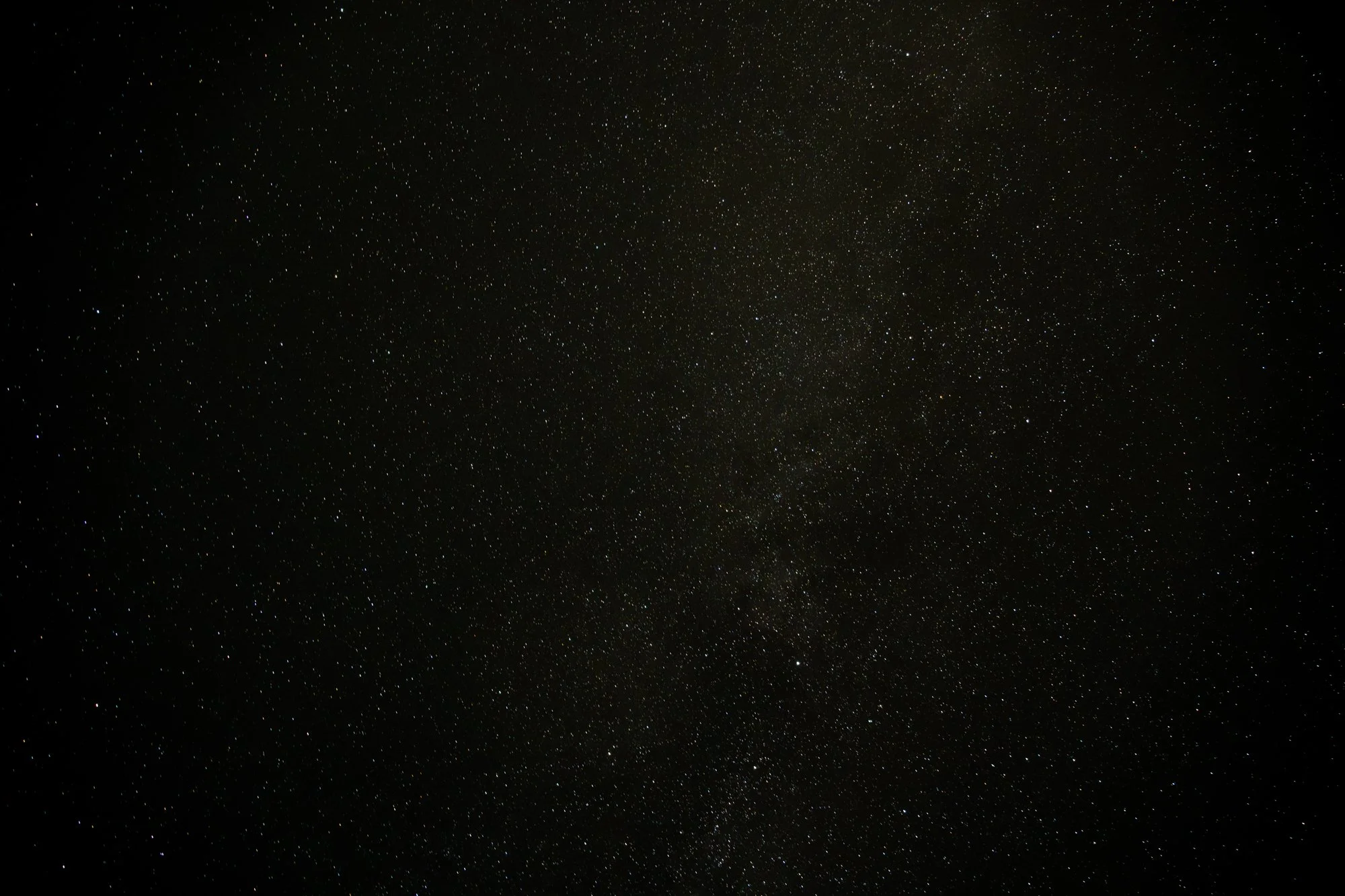 DSC02115.jpg