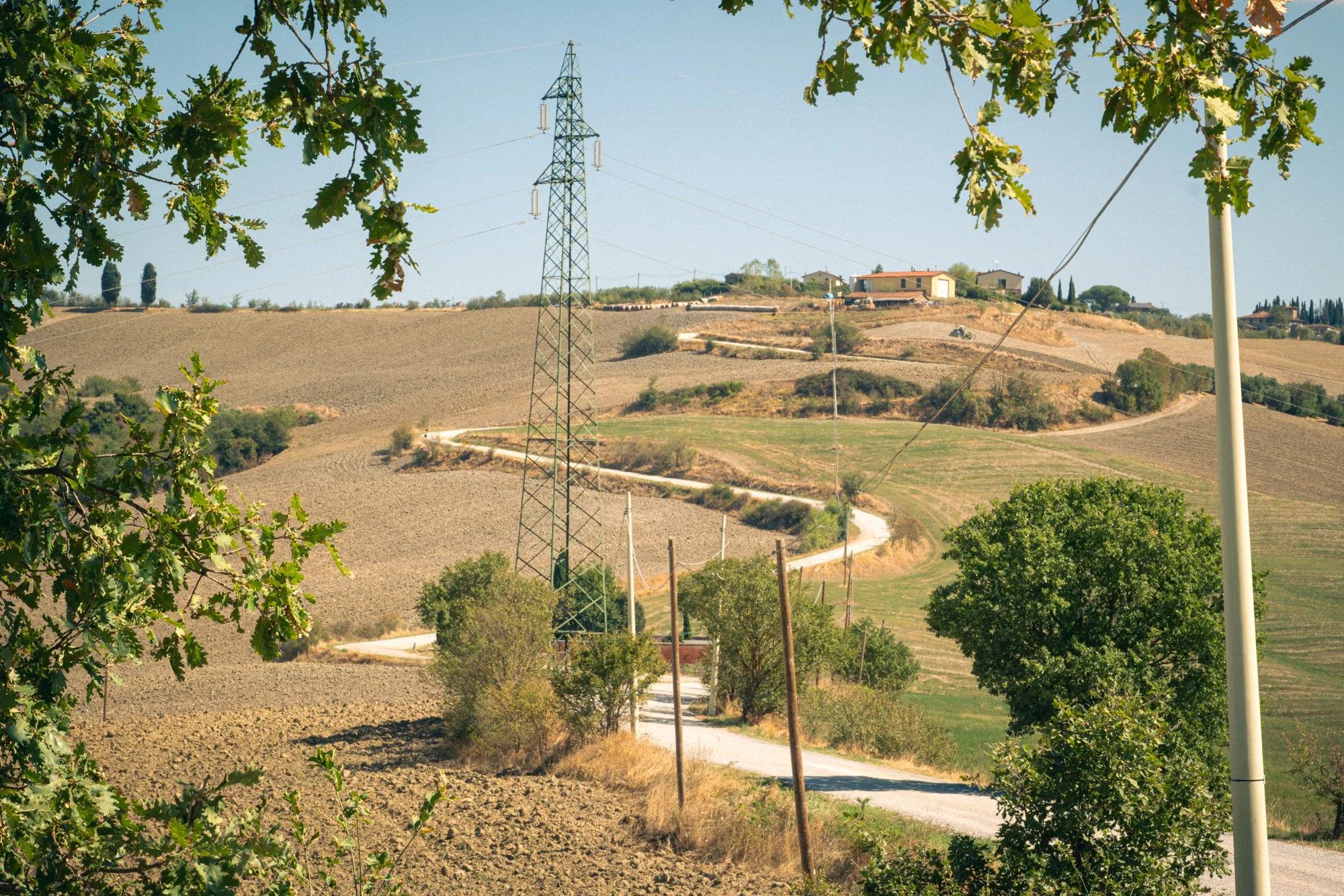 DSC01795.jpg