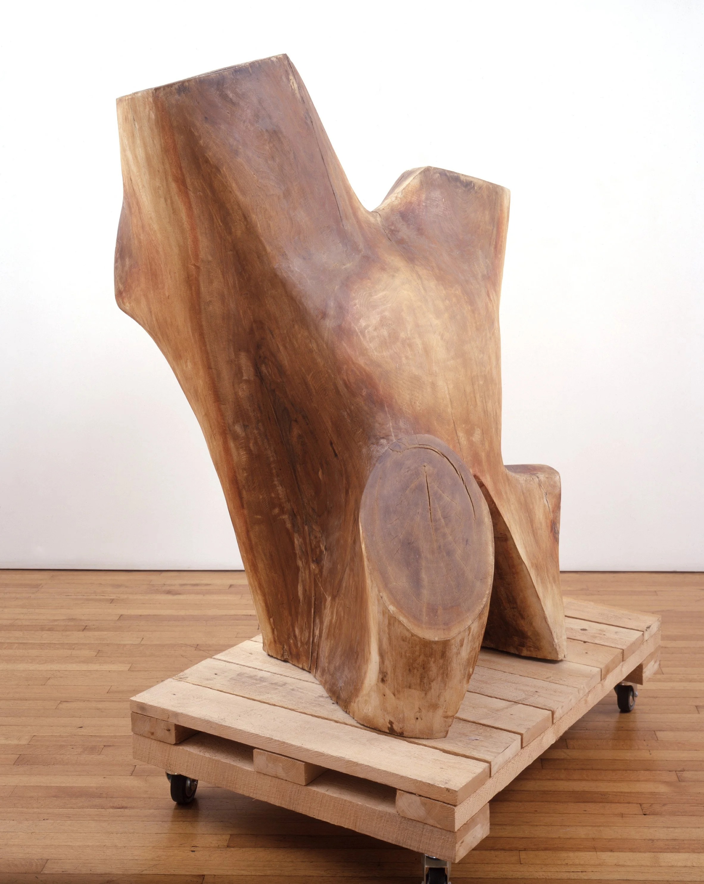 Buttermilk Falls,1969