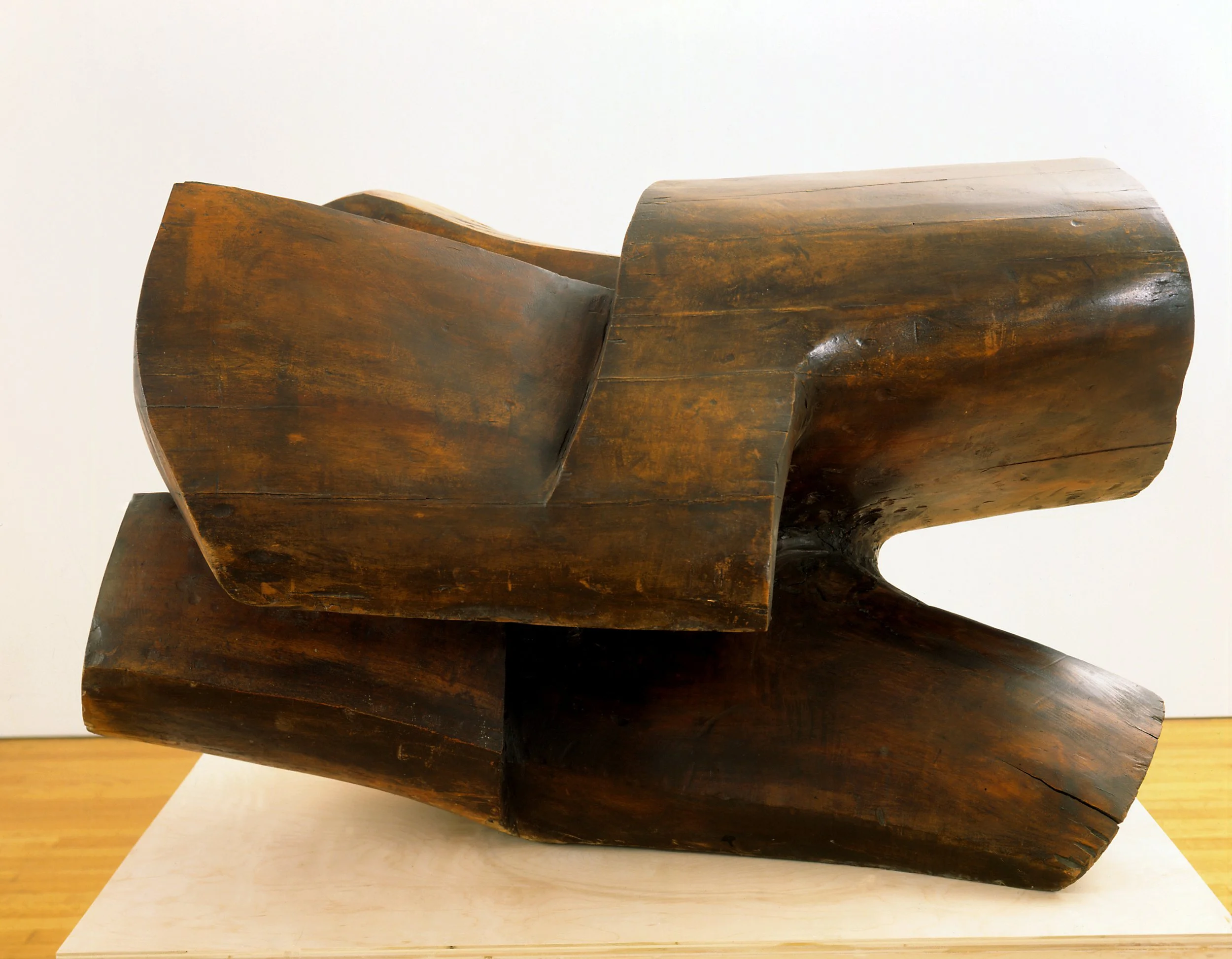 Wallkill Walnut, 1964