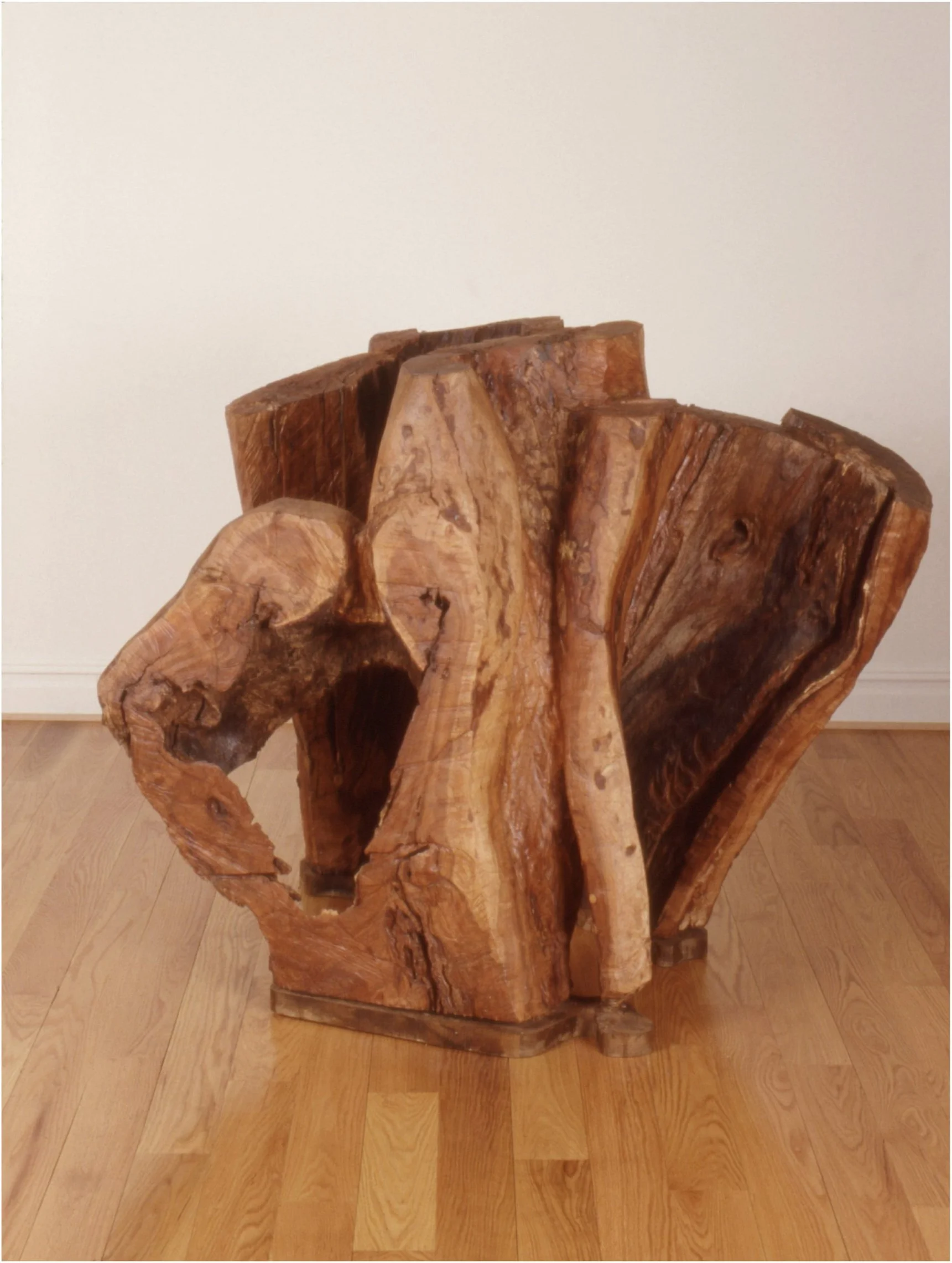 Feather Farm Cherry, 1983