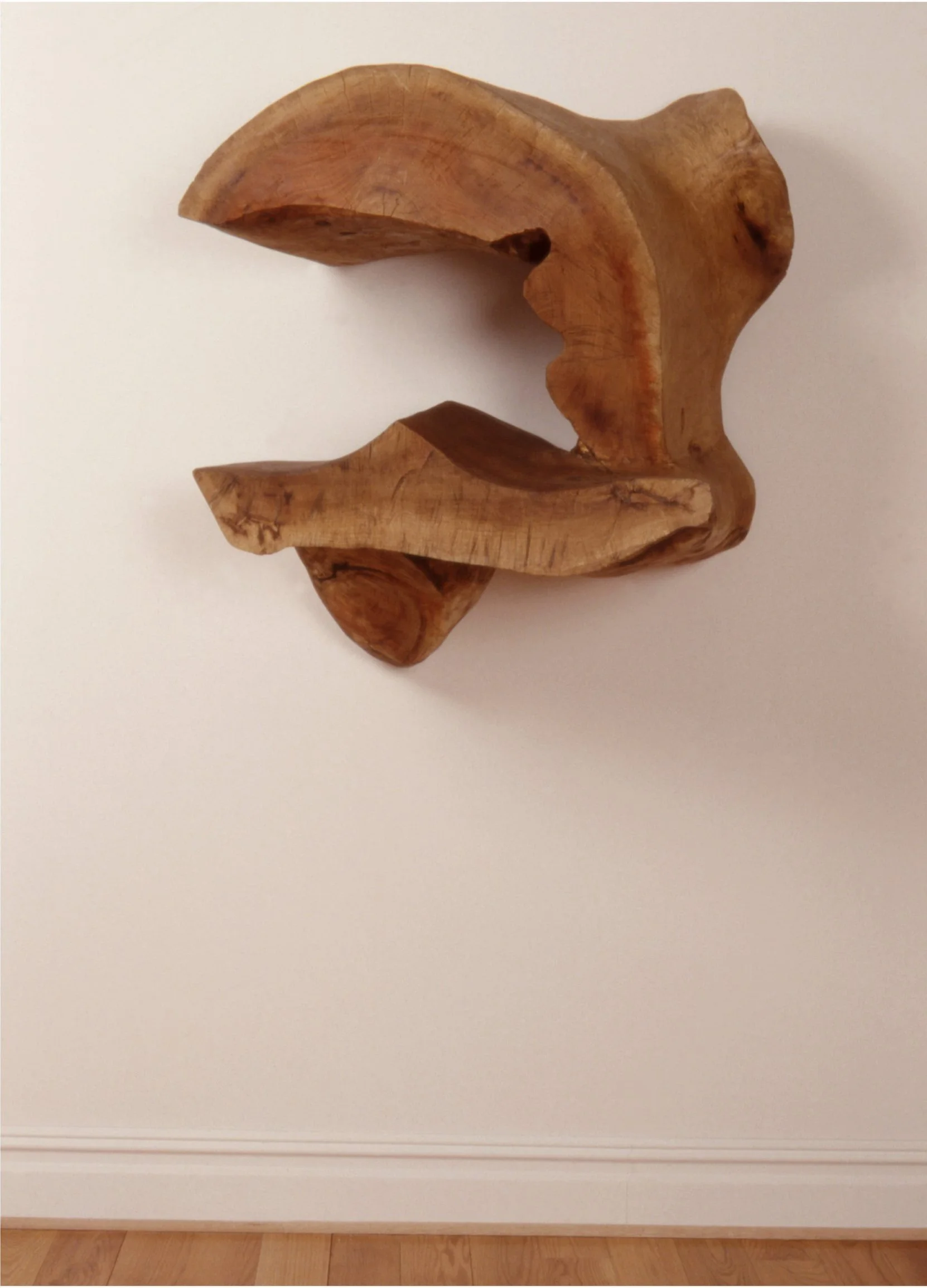 Dr. Reed at Wallhala, N.Y., 1987