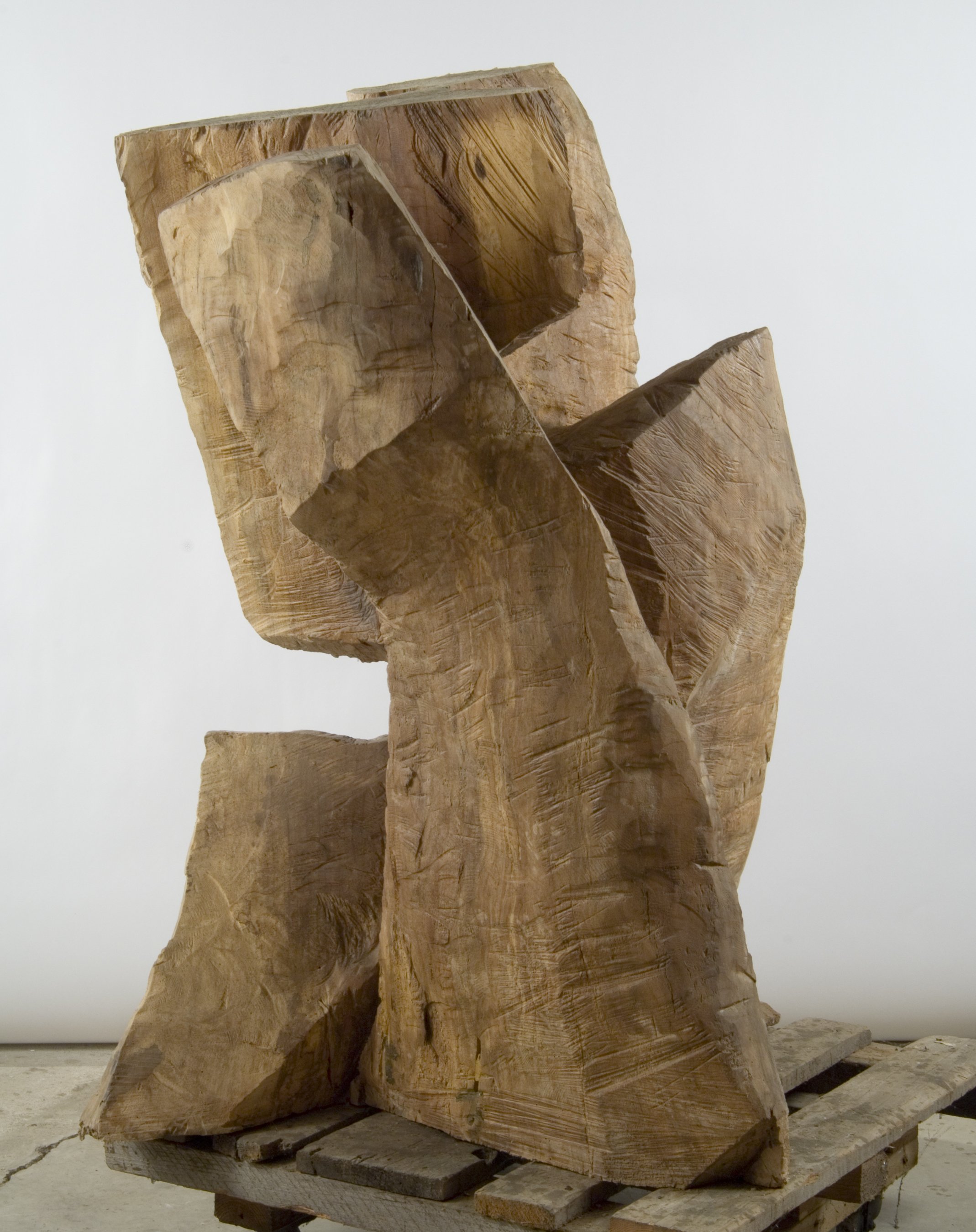 Sycamore - Winter, 1992