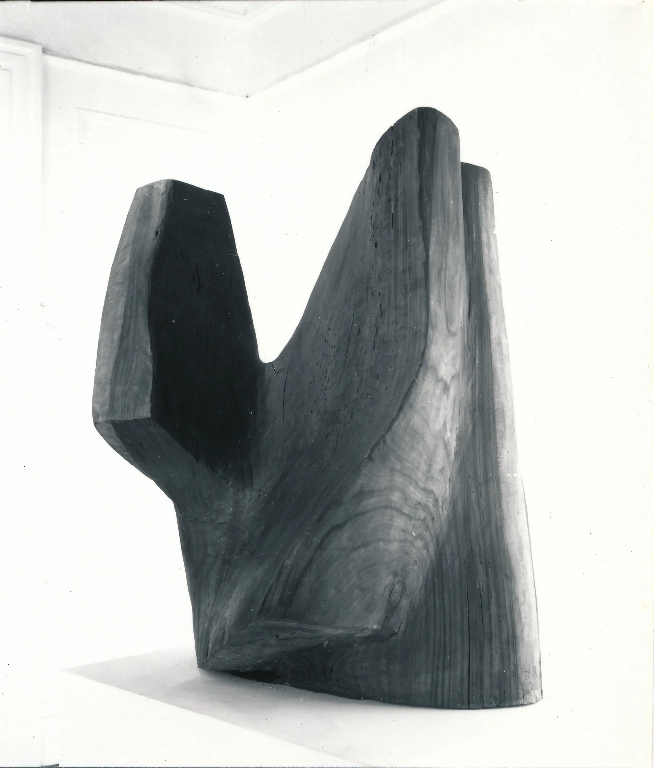 Warmy Walnut of Syracuse, 1960