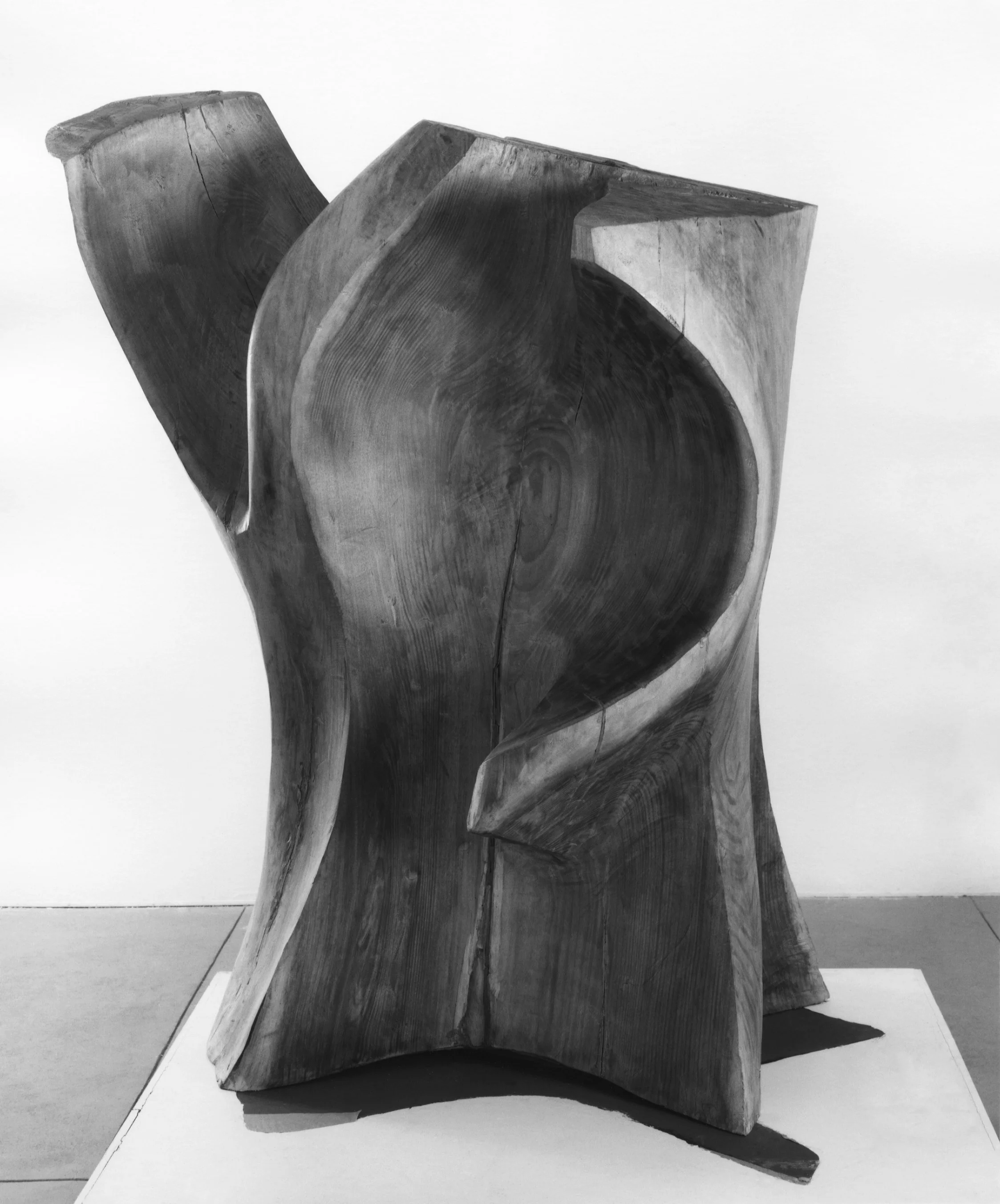 Shaldrake on Seneca, 1968