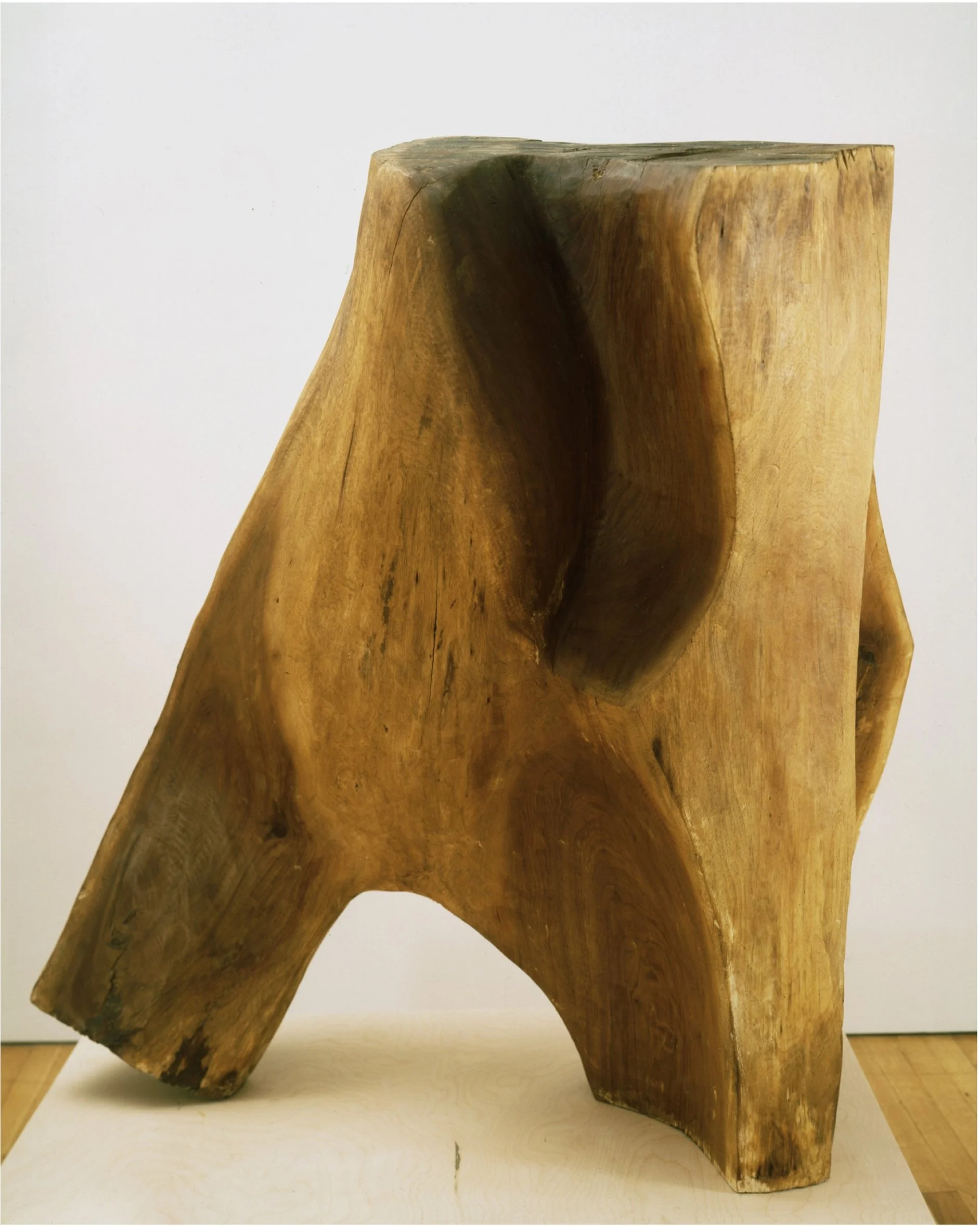 Shandaken (Potier Mountain), &nbsp;1969