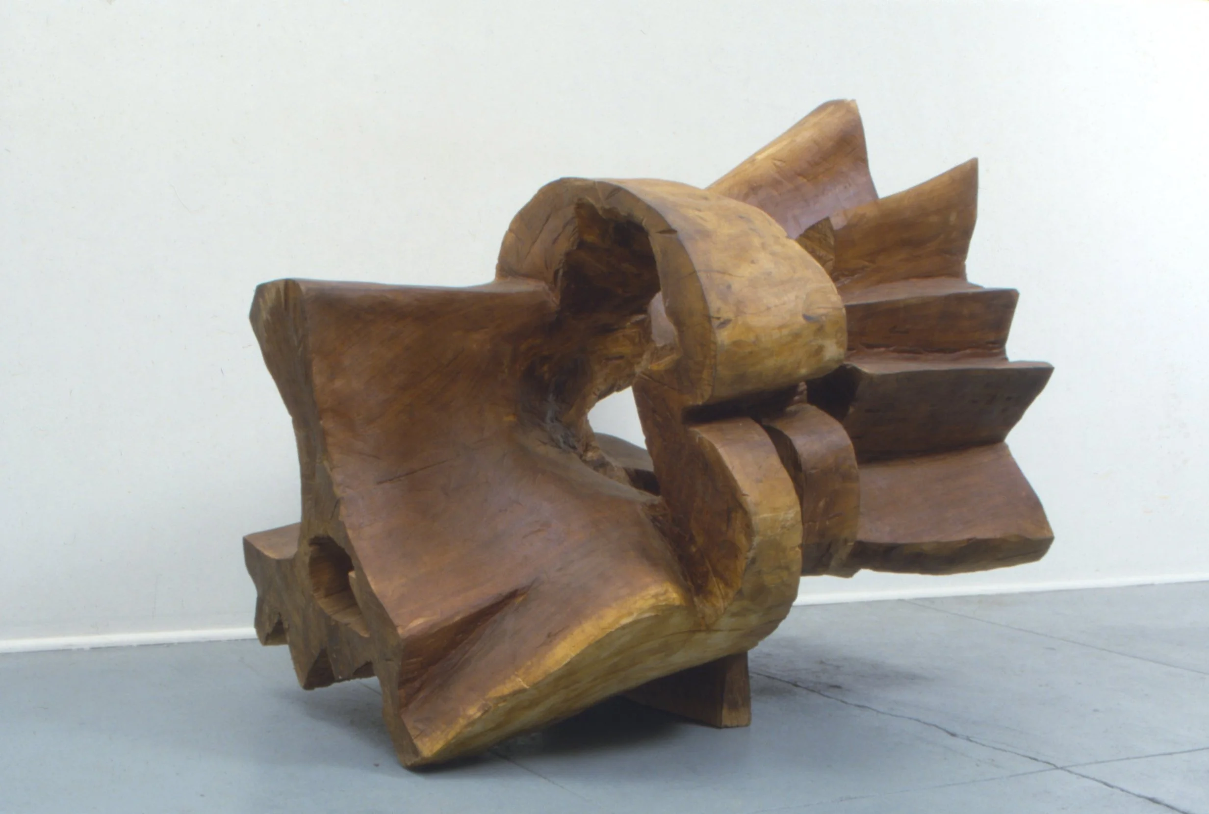 Willy’s Bride, 1981-82