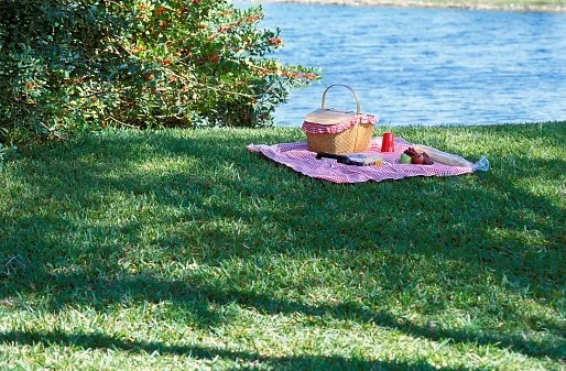 Annual Picnic.jpg