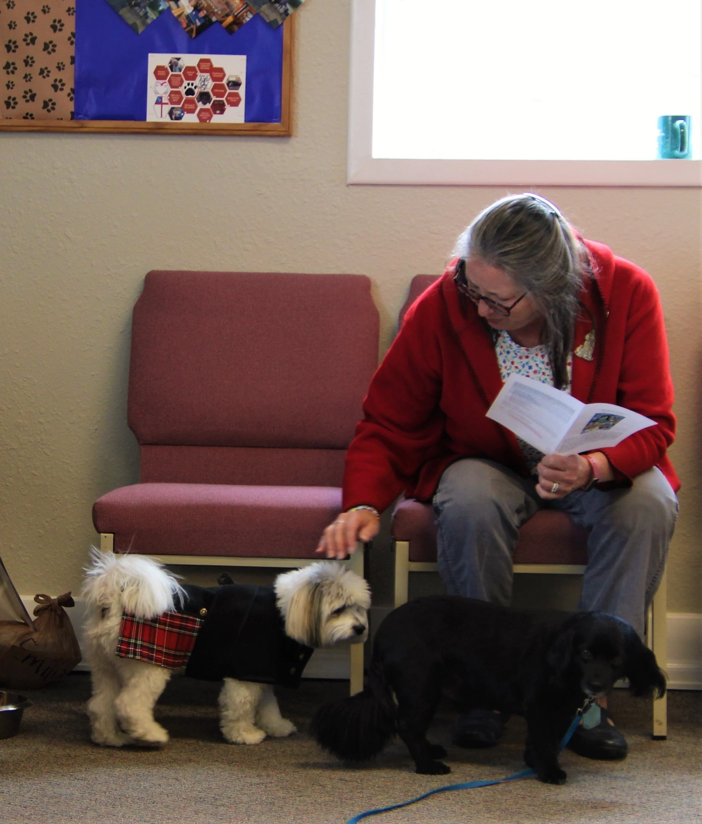 A calming touch from Carolynne 10-22.jpg