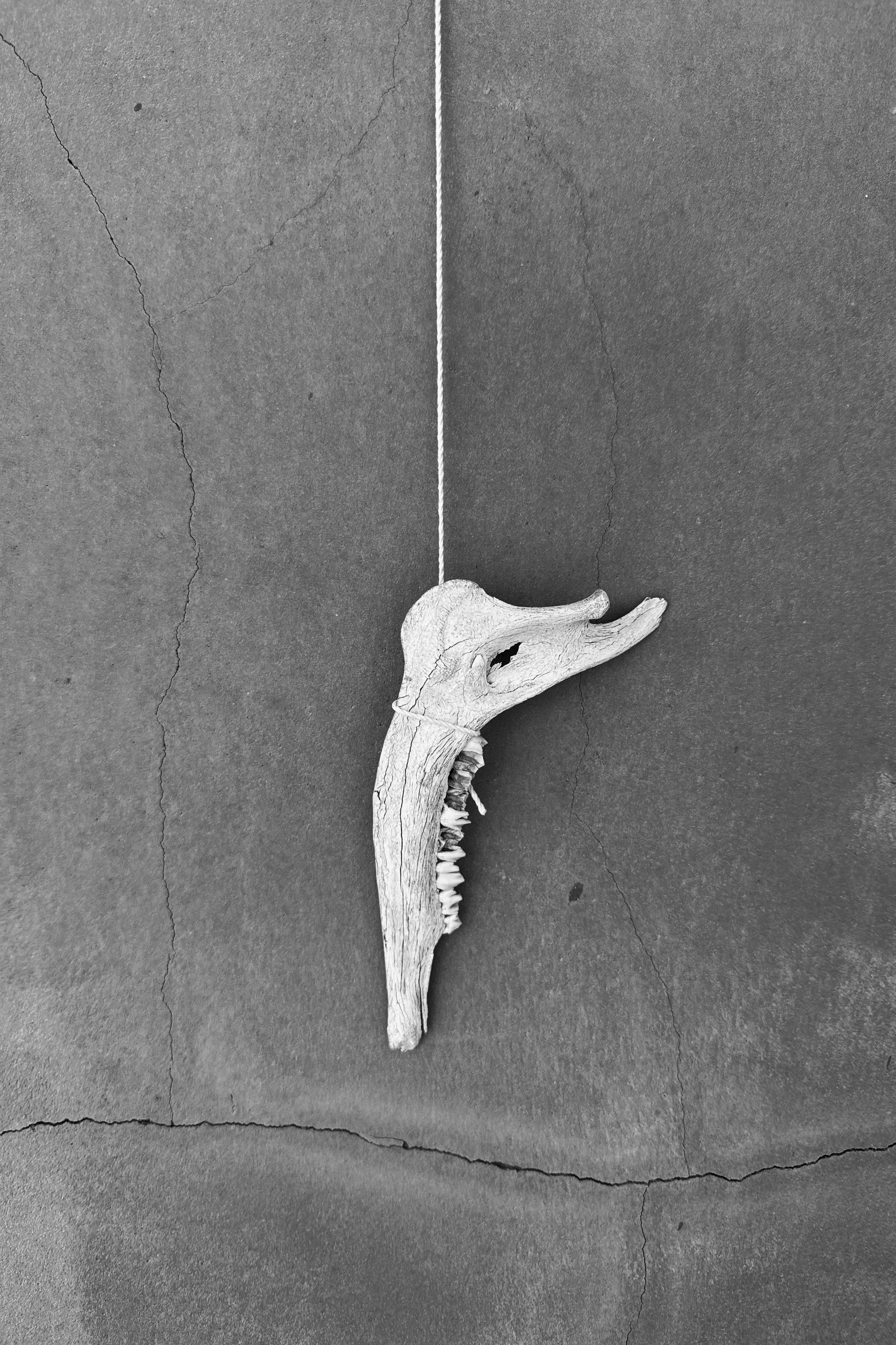 aaron garcia studio_T5Y_objects-2.JPG