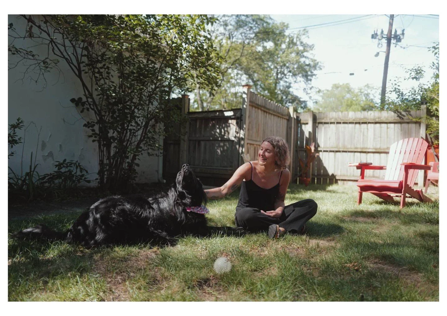 Meet Penny 🐾 &mdash; proof that positive reinforcement works wonders.

Just like with our pets (and let&rsquo;s be honest, with us humans too), positive reinforcement in the workplace builds trust, strengthens relationships, and motivates people to 