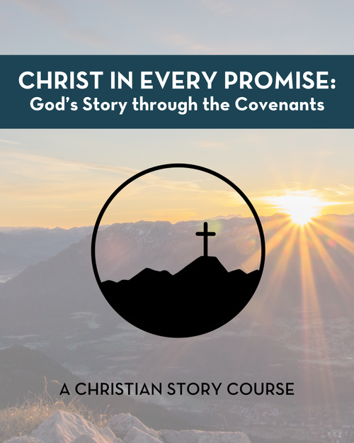 Christ in Every Promise
