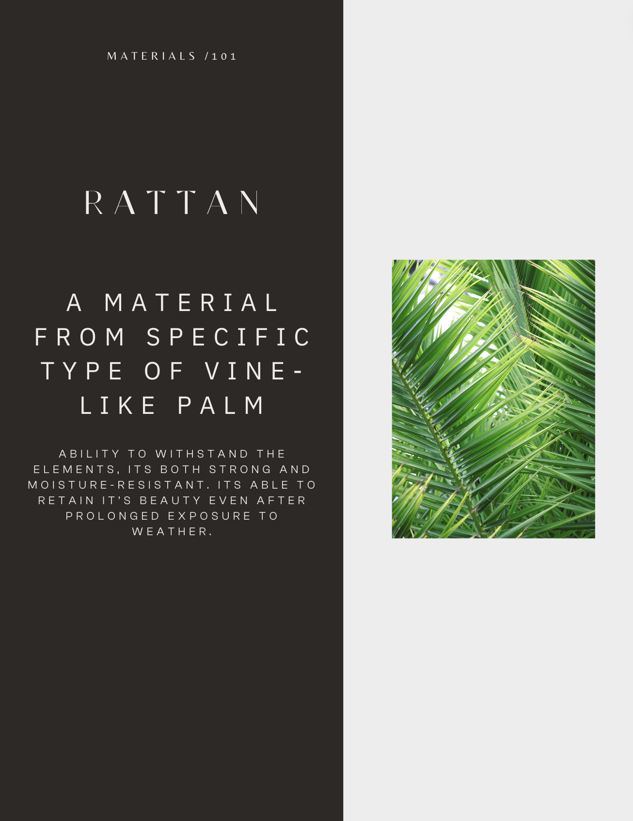 Rattan is a type of vine-like palm.