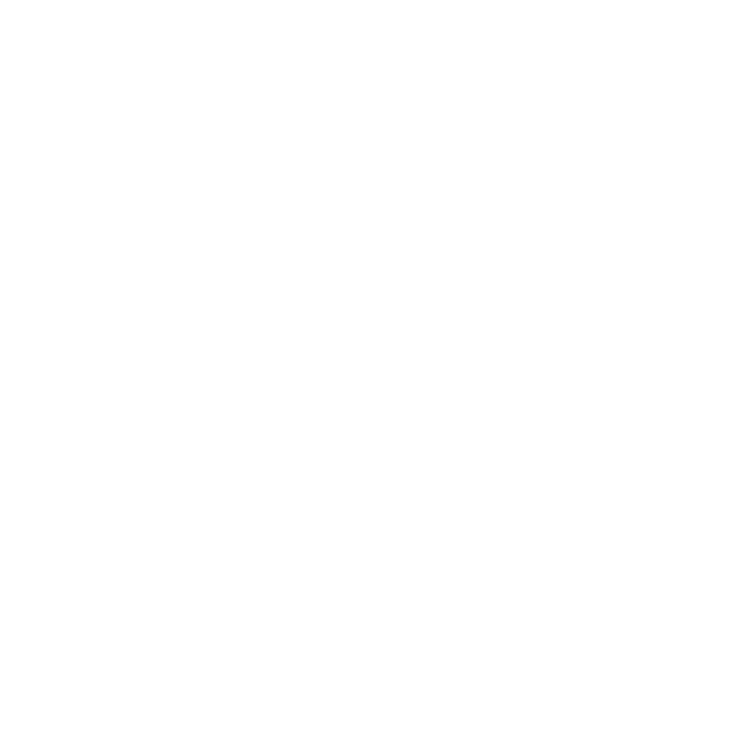 Wellness Coaching