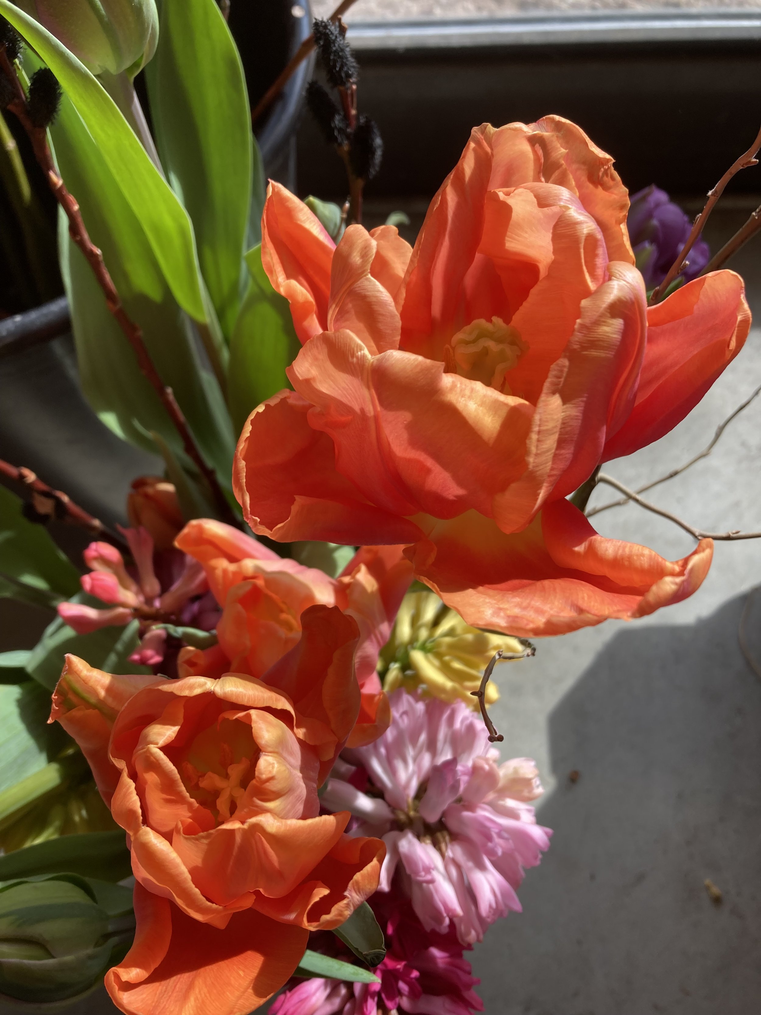 Schmetterling Pop-up