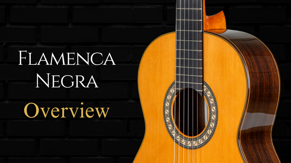 Pavan Flamenca Negra Handmade Spanish Classical Guitar Nylon String Guitars Flamenco Guitar Pavan Guitars