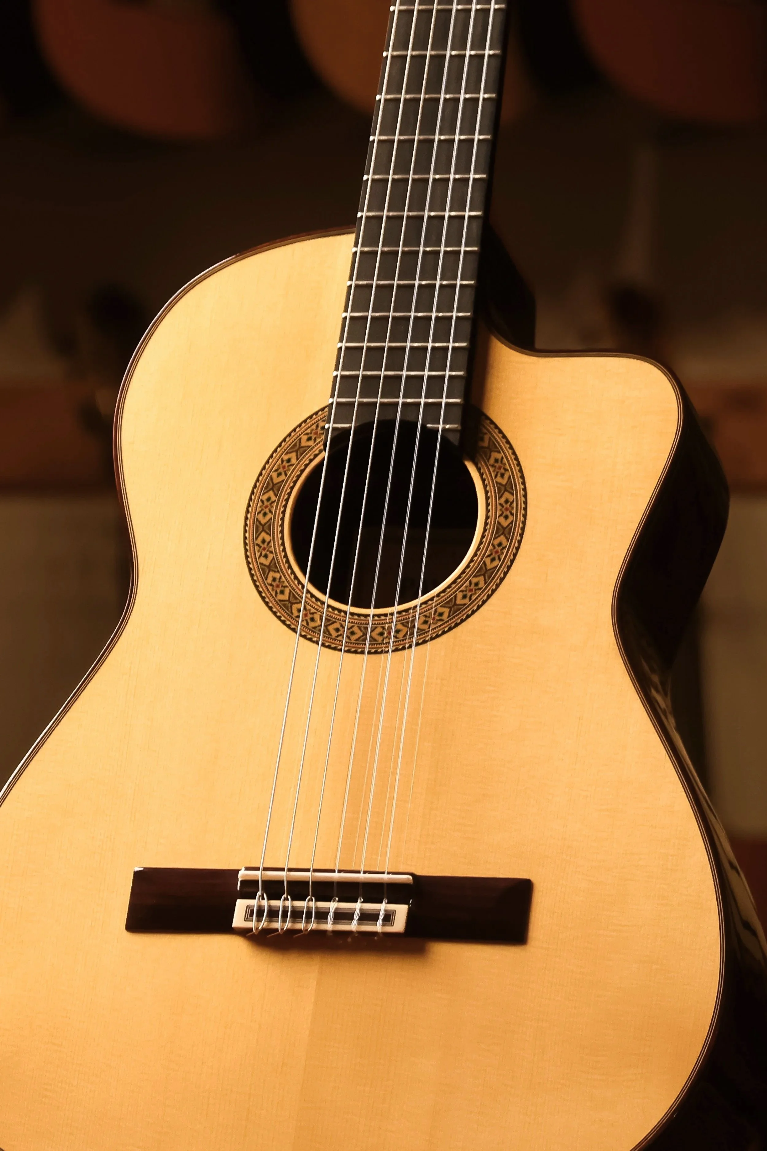 Pavan-TP-30-AC-spruce-classical-guitar-front-closeup.jpg