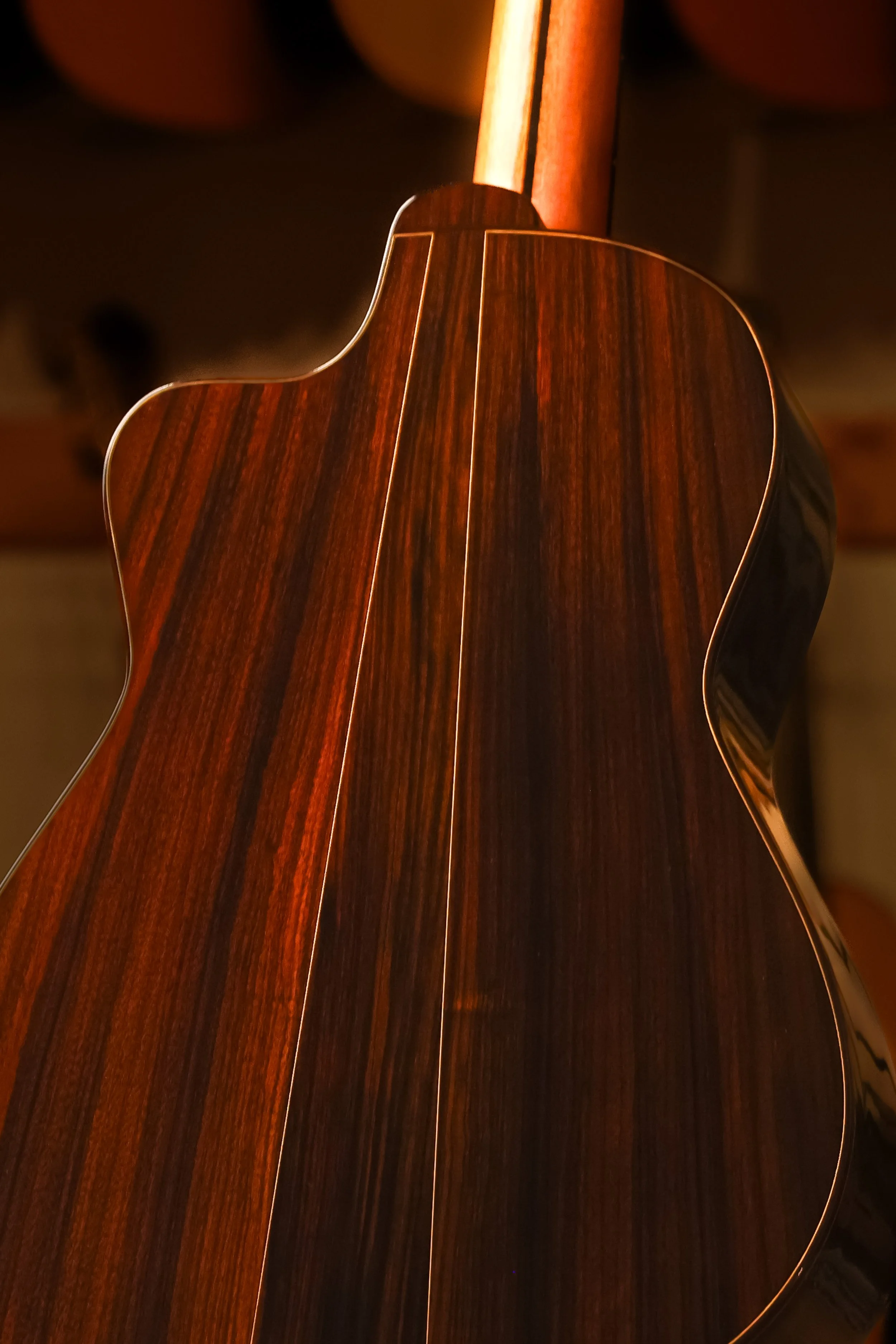 Pavan-TP-30-AC-cedar-classical-guitar-closeup-back.jpg