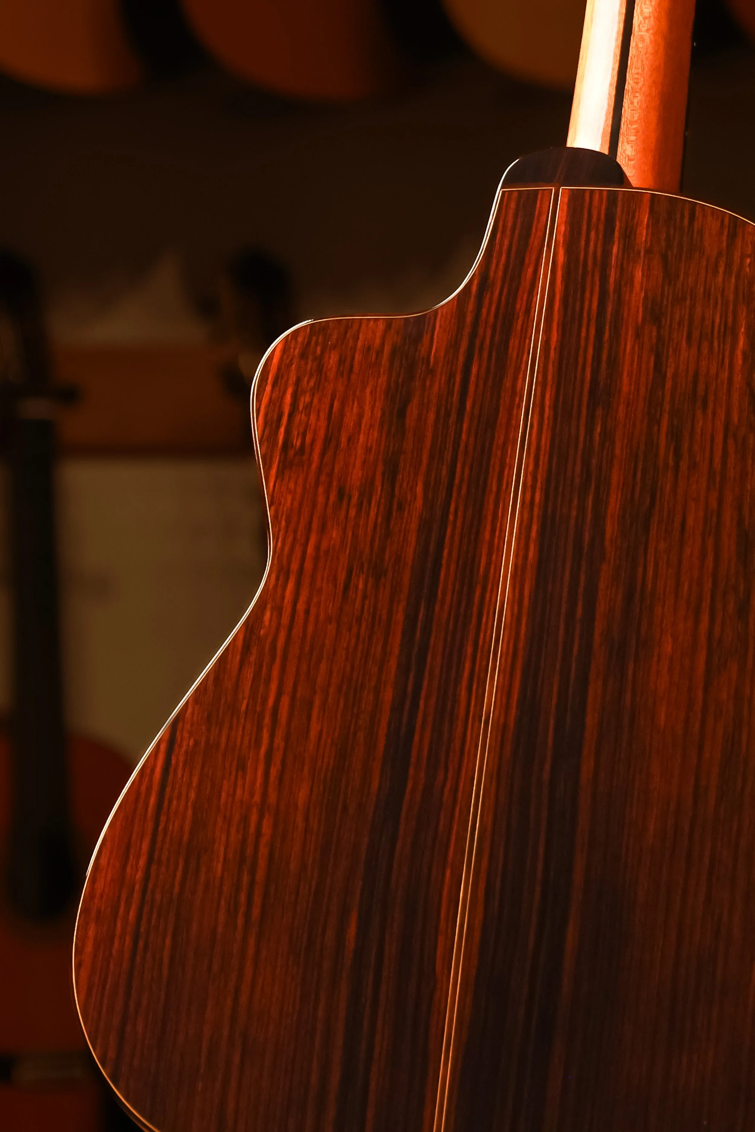 Pavan-TP-30-AC-spruce-classical-guitar-back-closeup.jpg