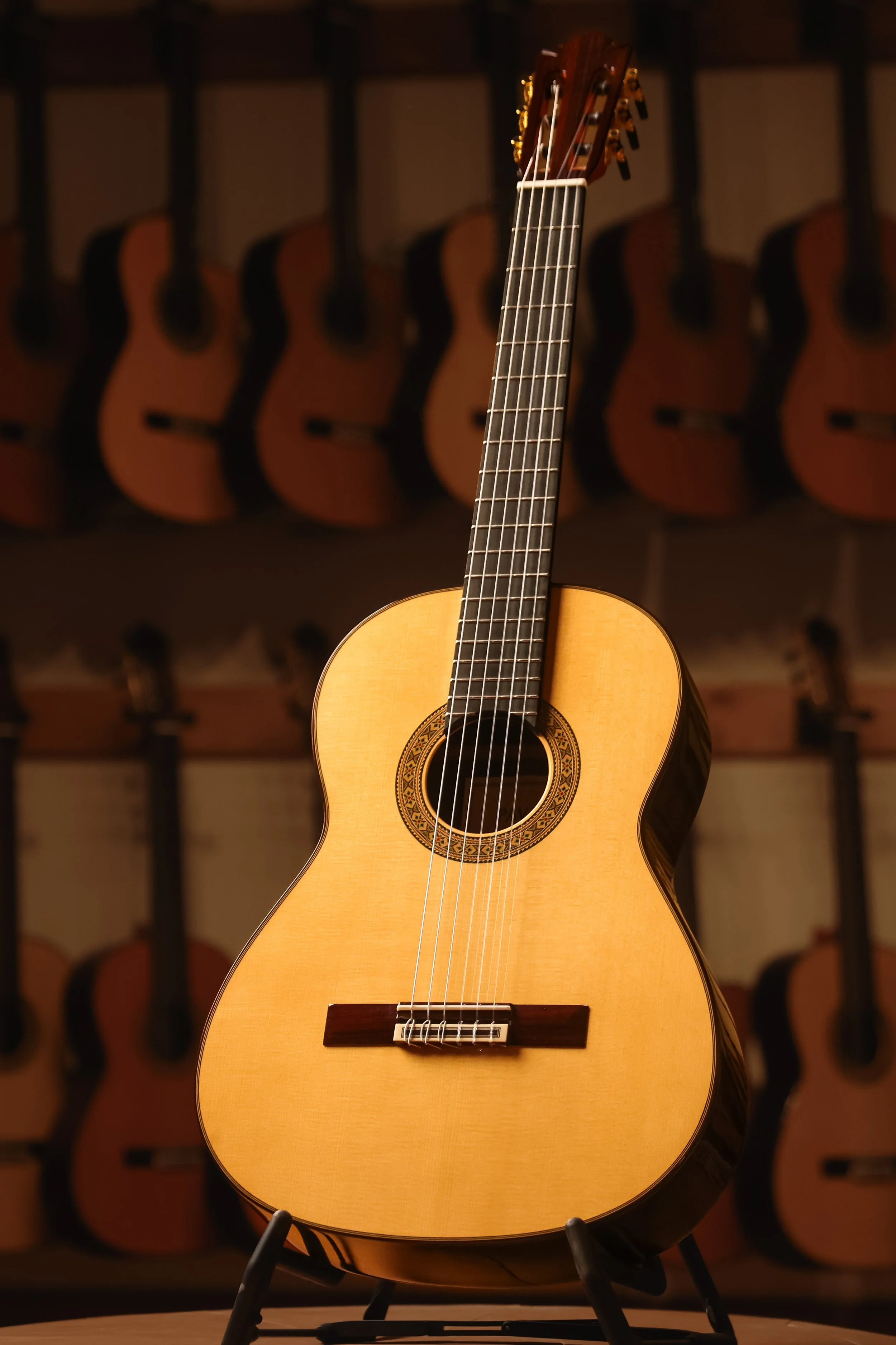 Pavan guitars | classical guitars | nylon string guitar | Spanish Guitar | best classical guitars | handmade classical guitar | Flamenco guitars | acoustic cutaway classical guitars |