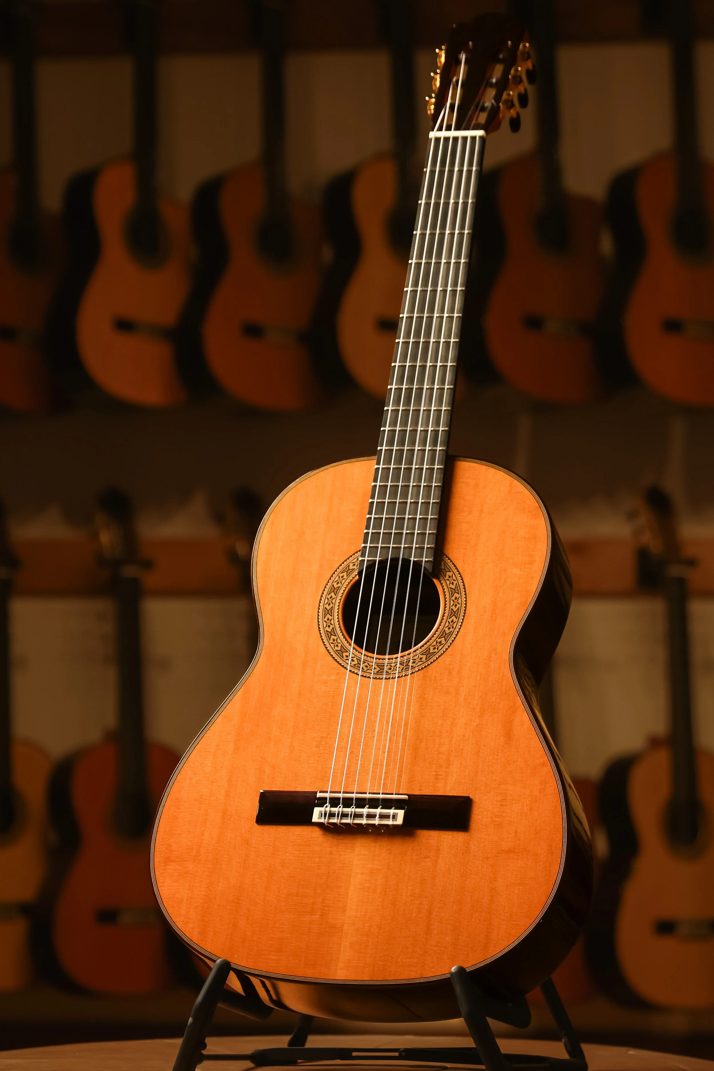 Pavan TP-30-64 Cedar Classical Guitar